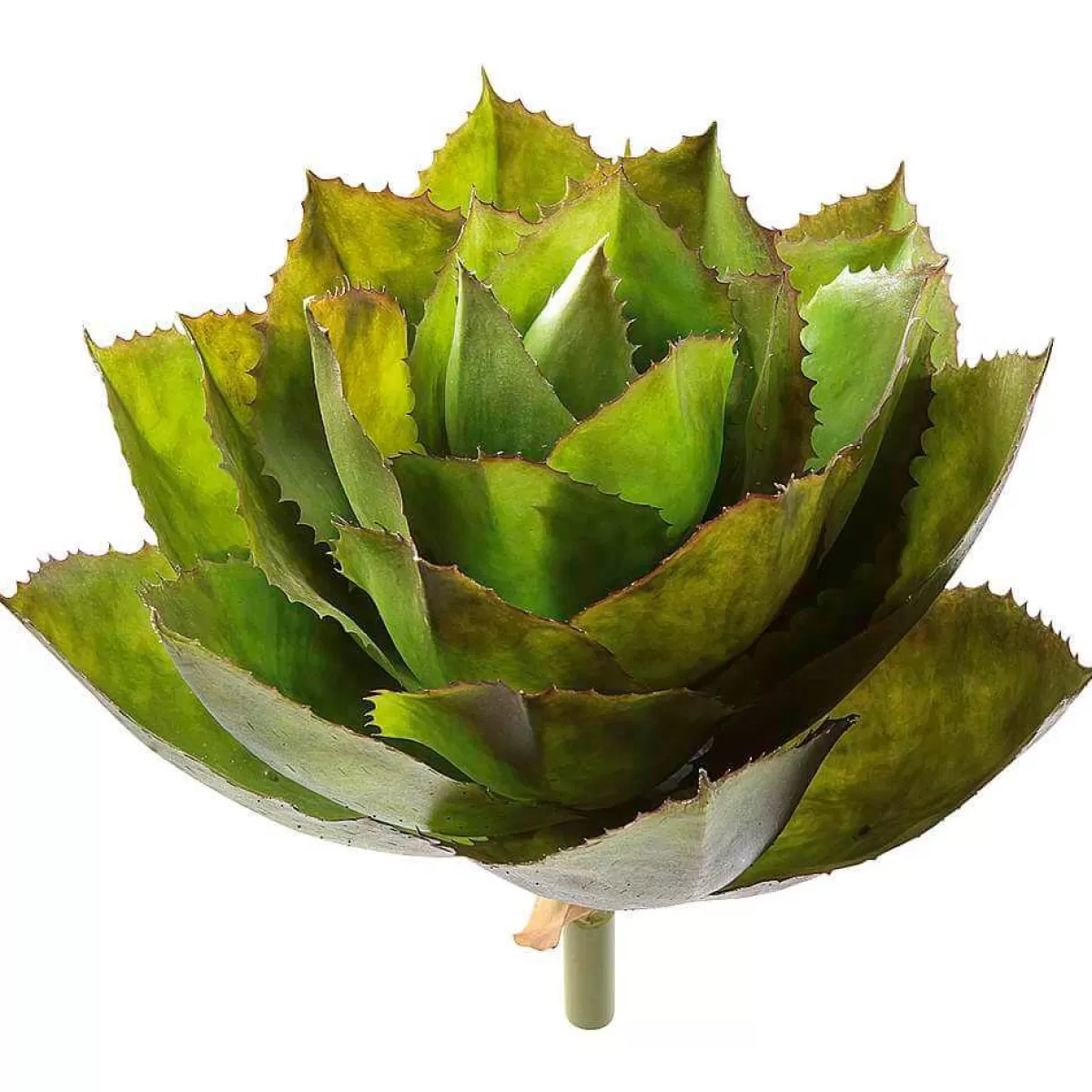 DecoWoerner Artificial Agave Parryi Without Pot, Ø 38 Cm