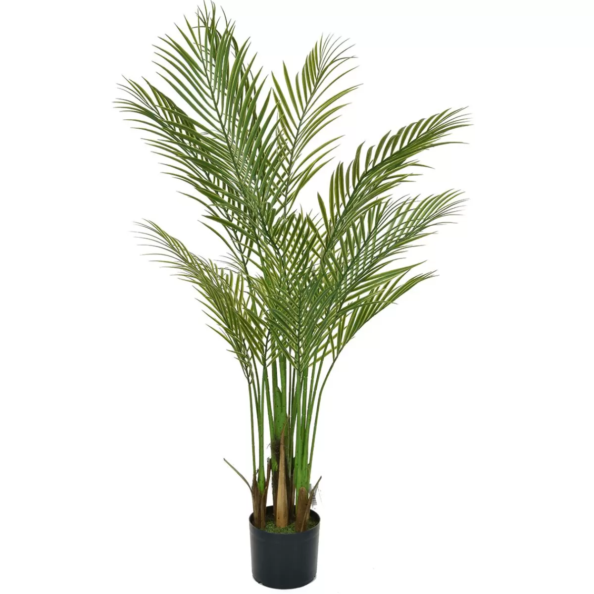 DecoWoerner Artificial Areca Palms In Pot Flame Retardant 150 Cm