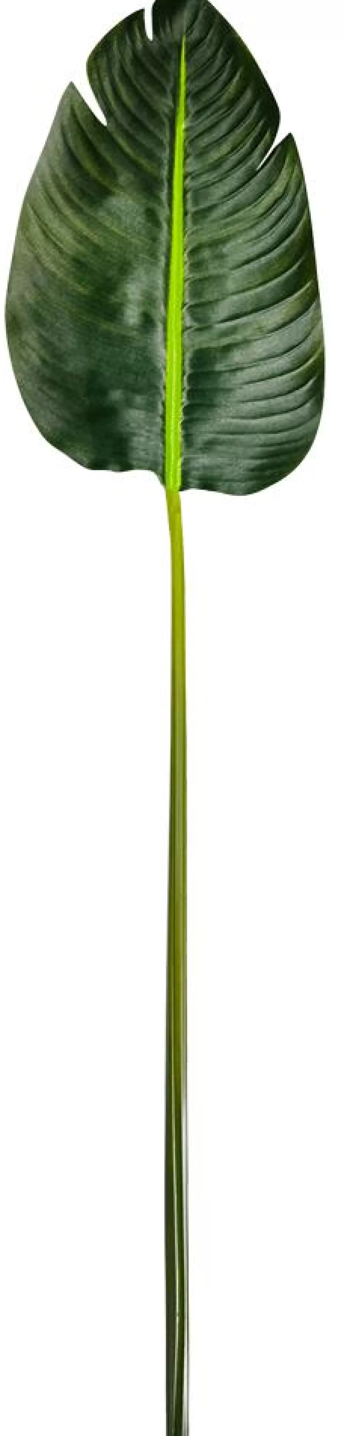 DecoWoerner Artificial Banana Leaf, 75 Cm Long