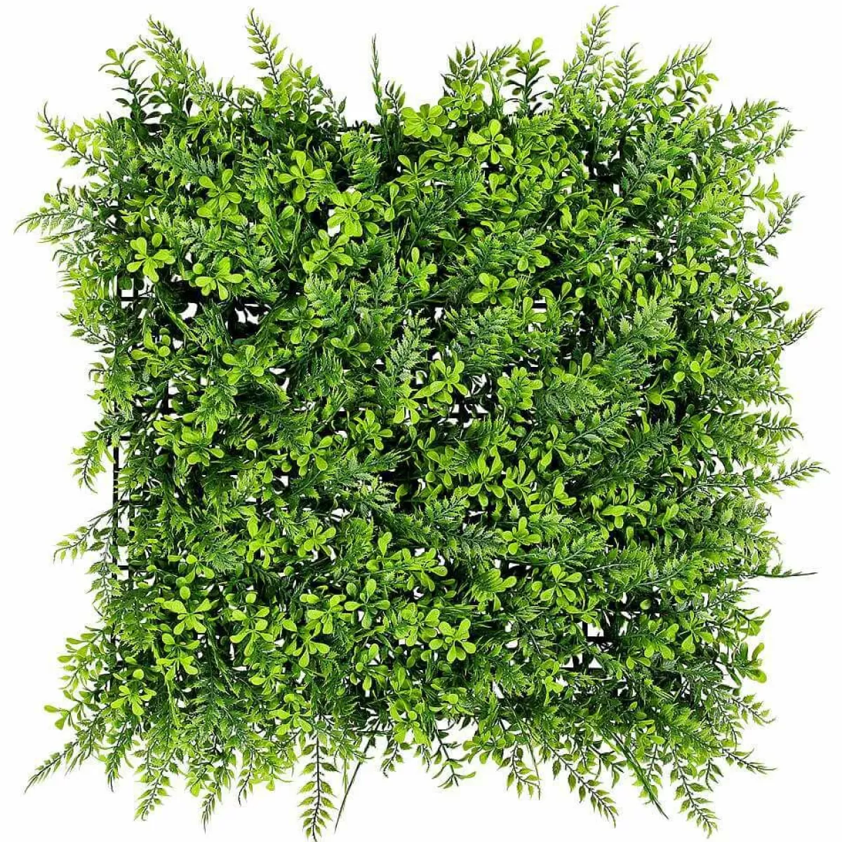 DecoWoerner Artificial Box Tree Fern Panel, 50 X 50 Cm