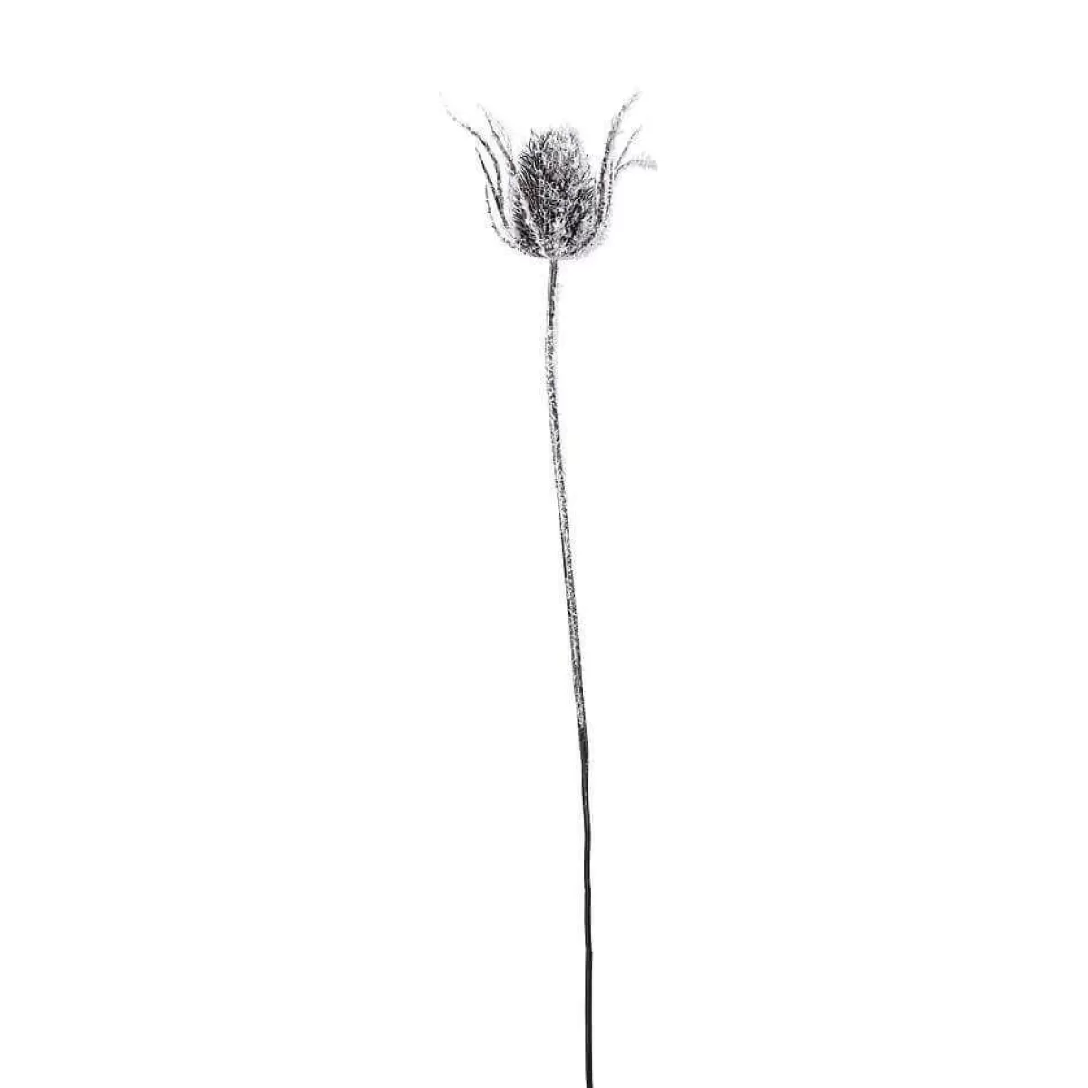 DecoWoerner Artificial Branch Thistle Snowed, 74 Cm