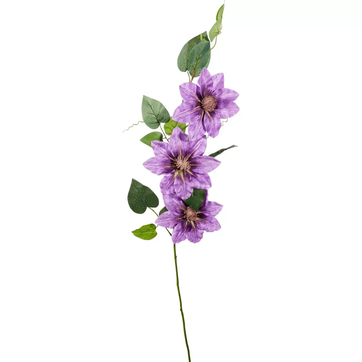 DecoWoerner Artificial Clematiz Twig Purple 15 X 7 X 80 Cm