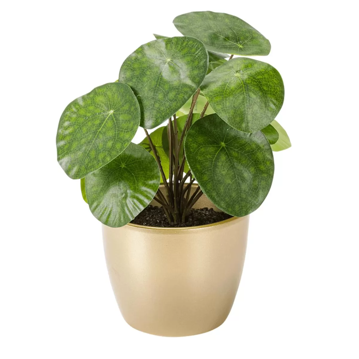 DecoWoerner Artificial Deco Pilea In Pot, Pancake Plant 25 Cm