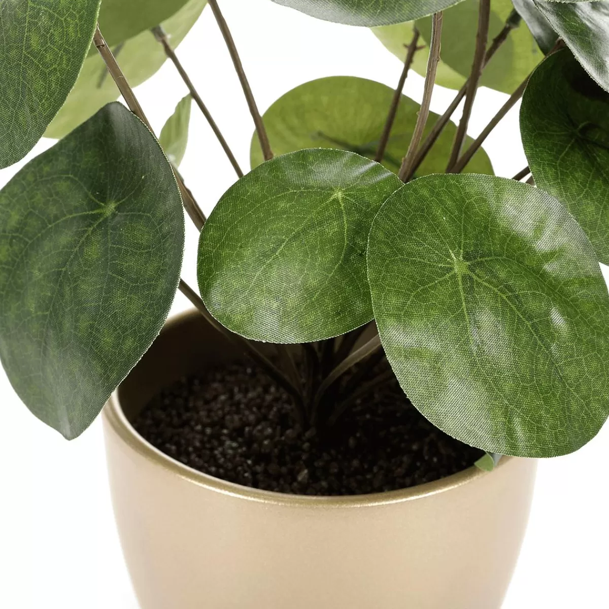 DecoWoerner Artificial Deco Pilea In Pot, Pancake Plant 25 Cm