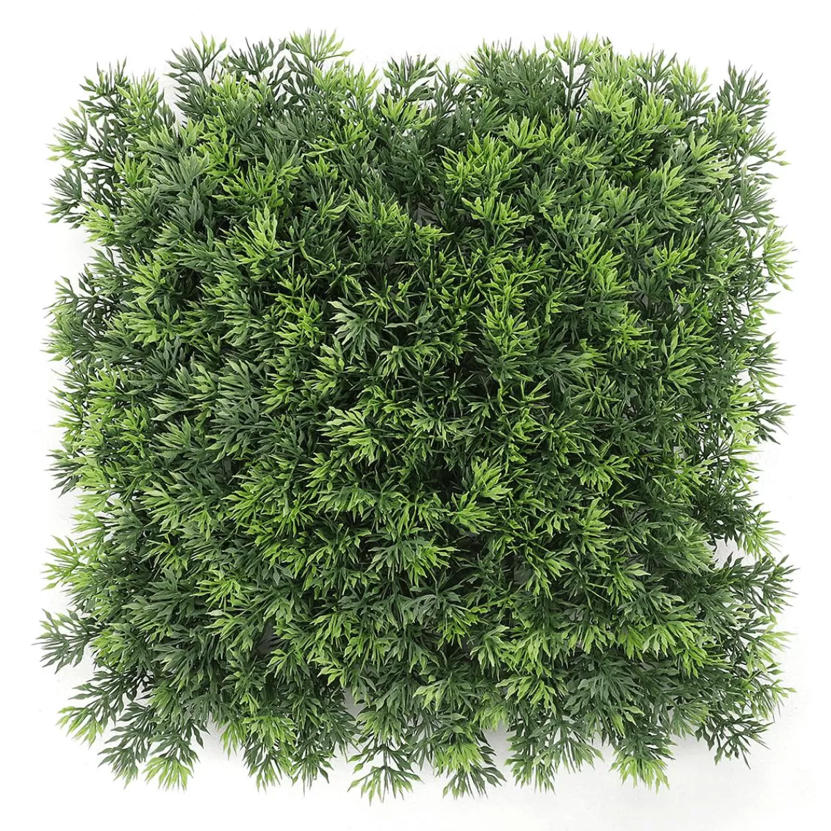 DecoWoerner Artificial Deluxe Grass Moss Panel, 25 X 25 Cm