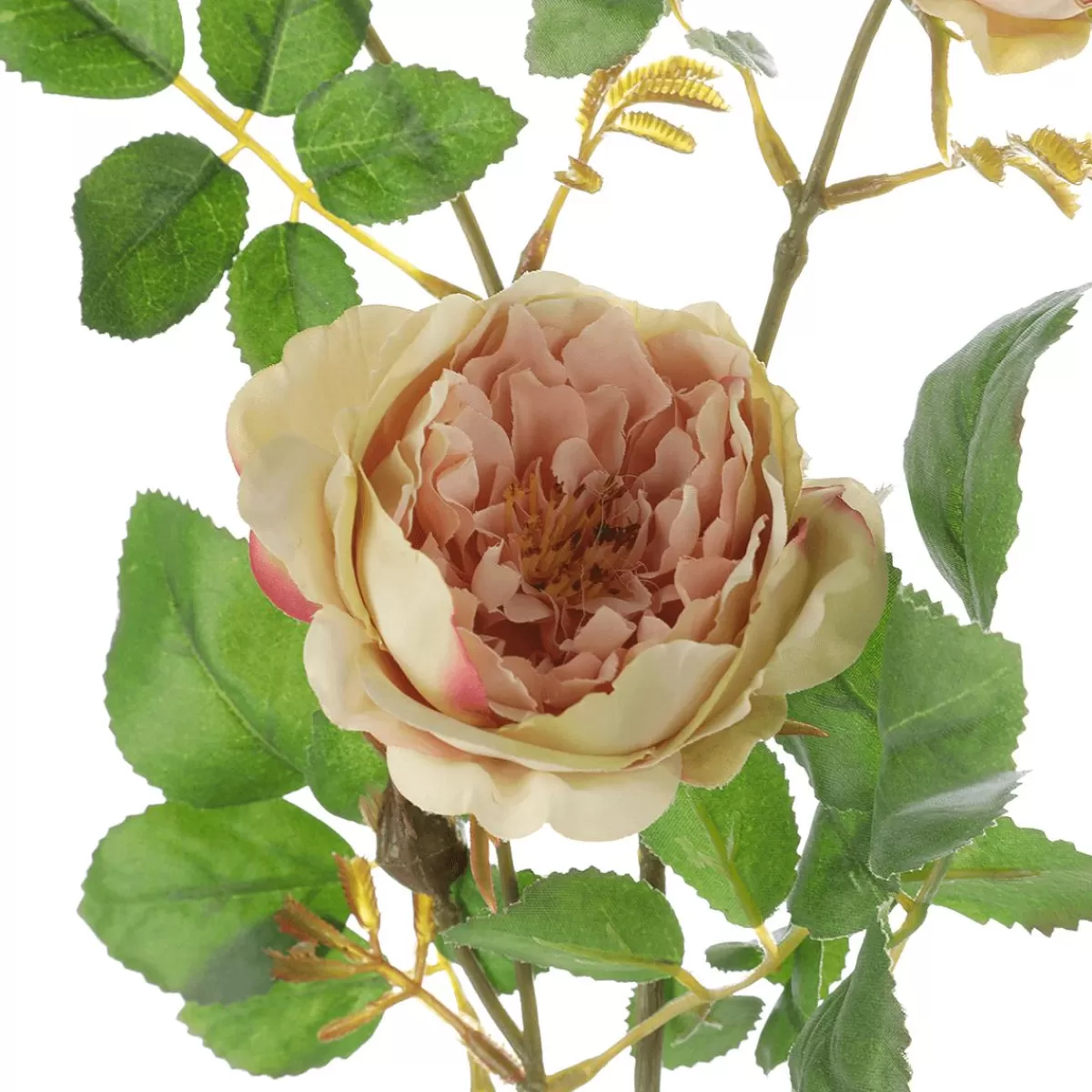 DecoWoerner Artificial English Rose Branch,