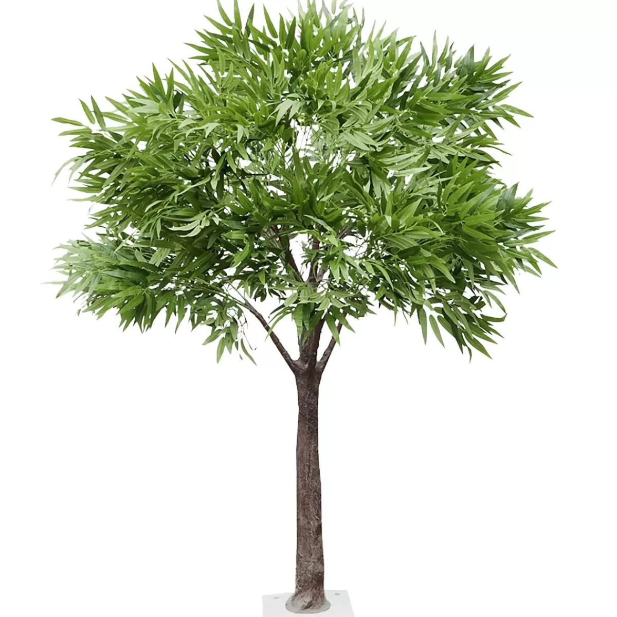 DecoWoerner Artificial Ficus Alii Tree 170 Cm