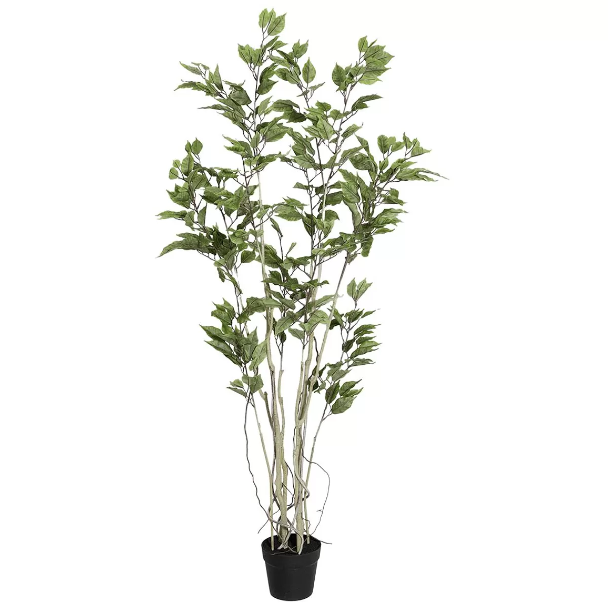 DecoWoerner Artificial Ficus Tree In A Pot