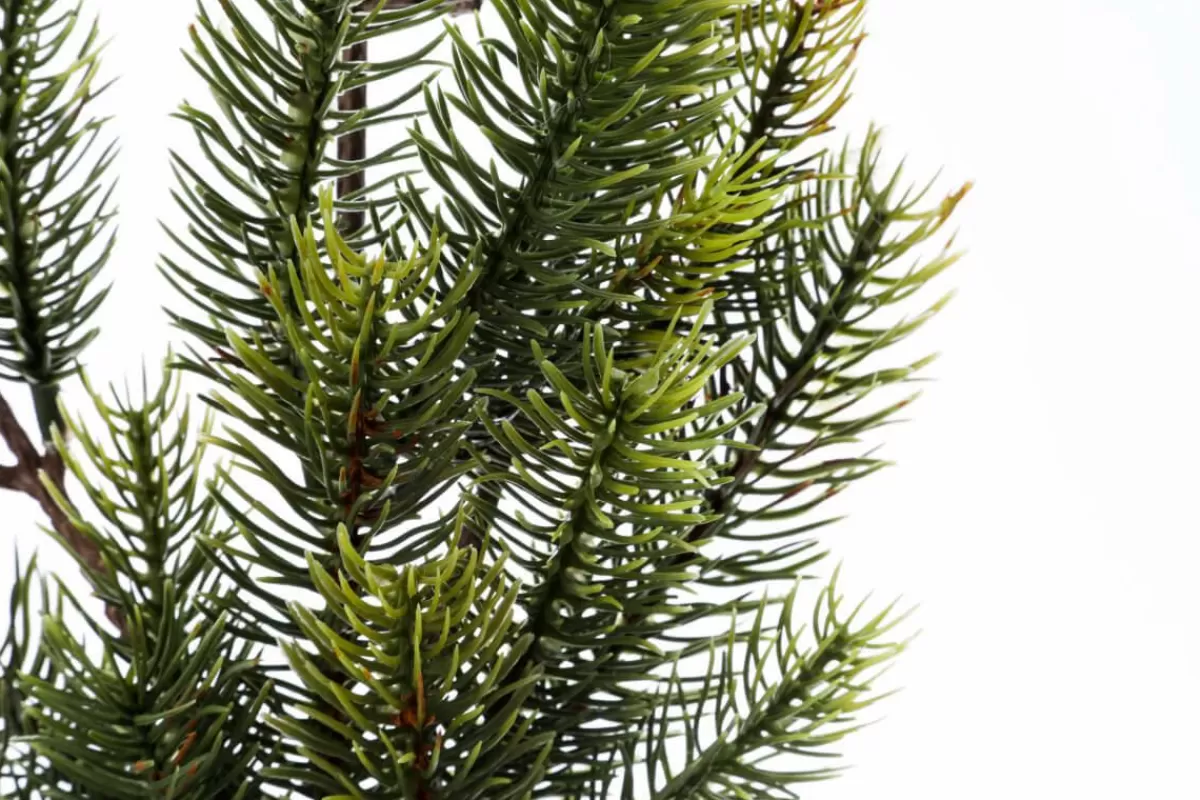 DecoWoerner Artificial Fir Branch, 66 Cm Long