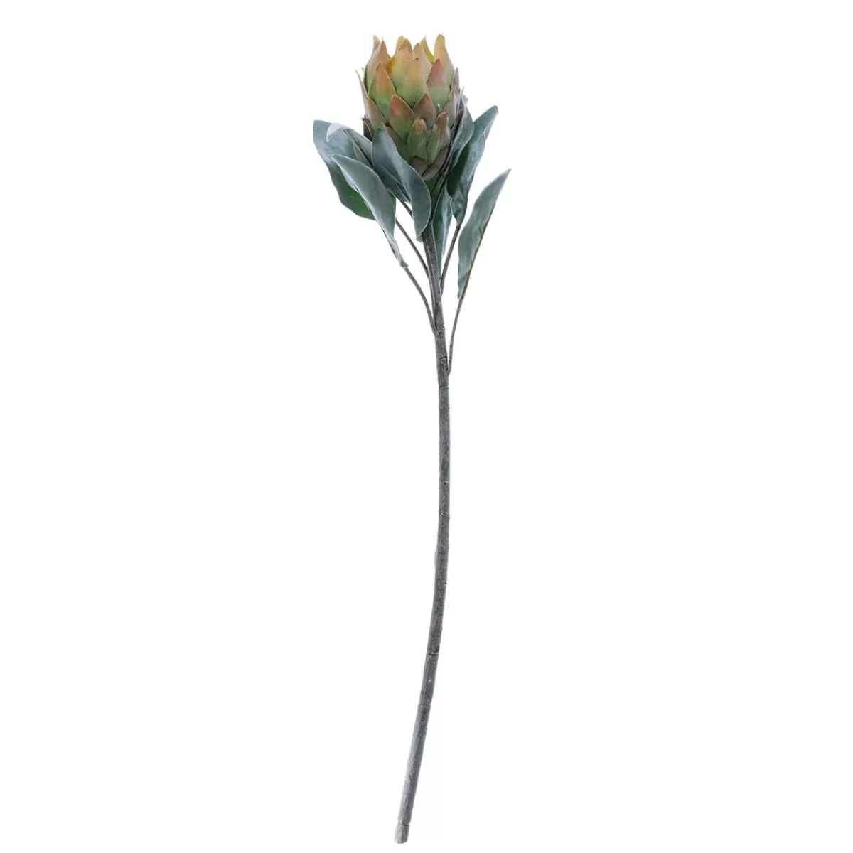 DecoWoerner Artificial Flower Protea , 72 Cm