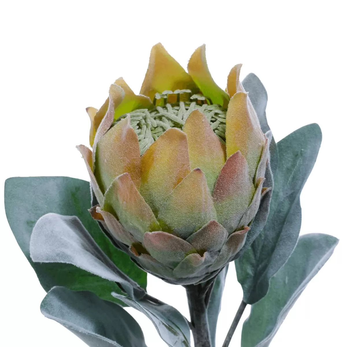 DecoWoerner Artificial Flower Protea , 72 Cm