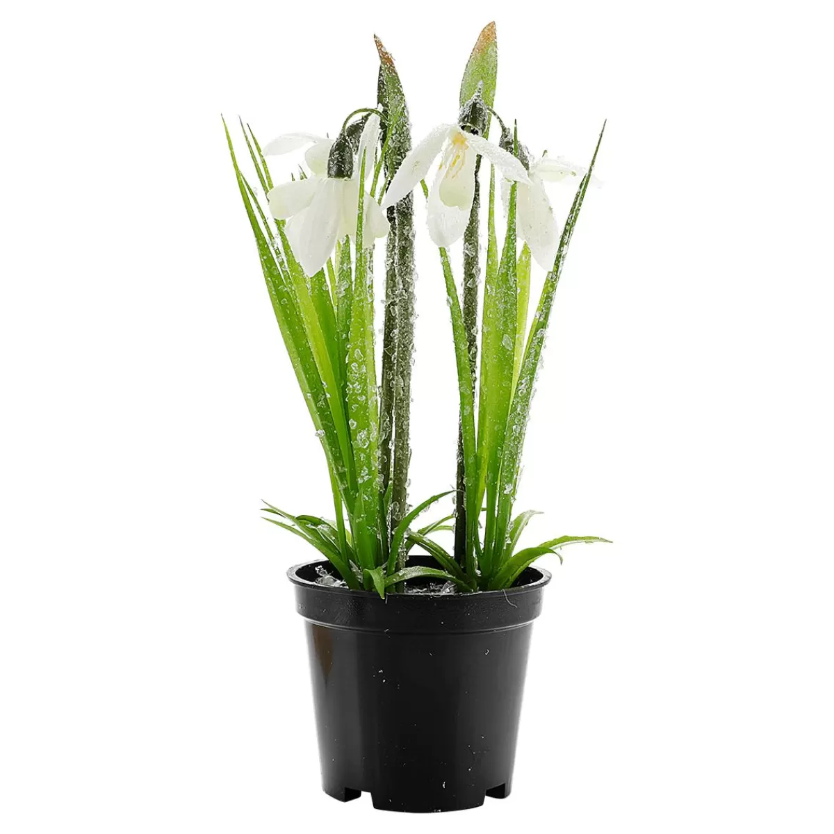 DecoWoerner Artificial Flower Snowdrop In Pot, 20 Cm High