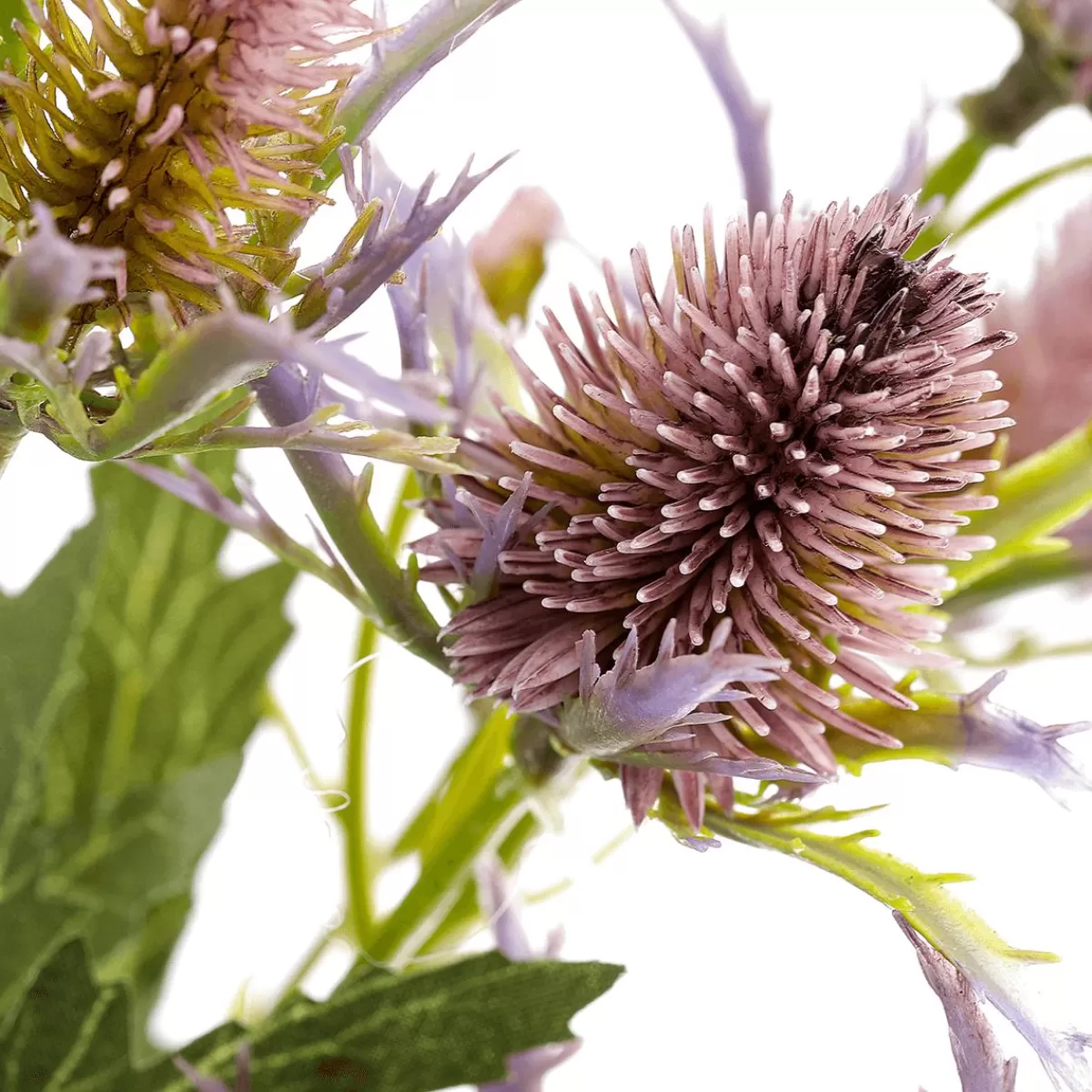 DecoWoerner Artificial Flower Thistle Branch Purple, 68 Cm Long