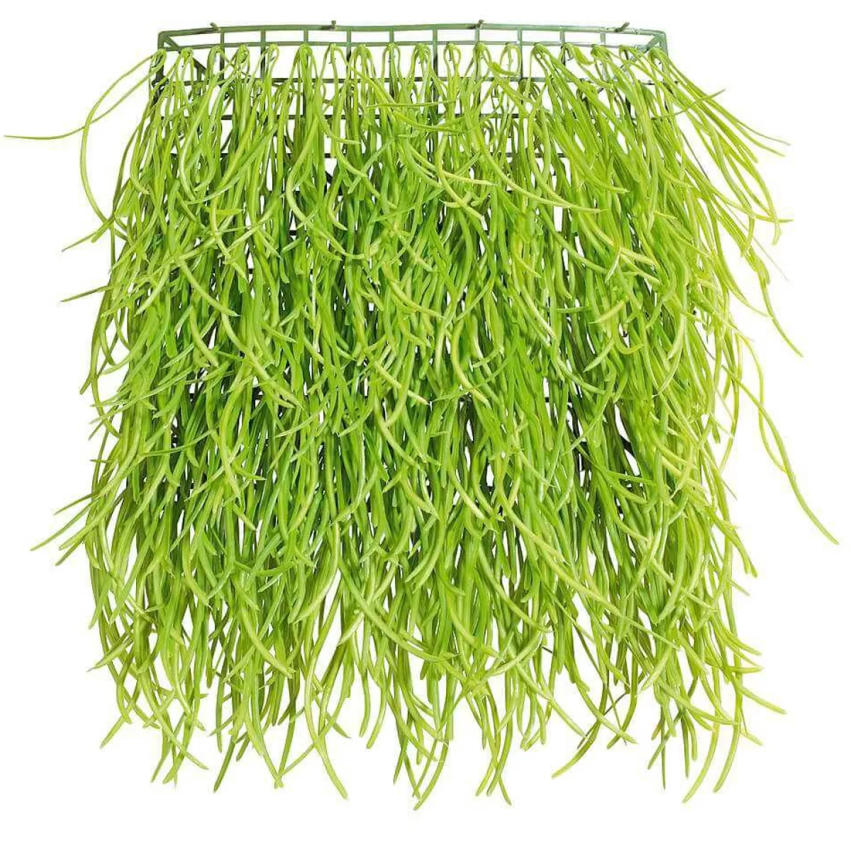 DecoWoerner Artificial Grass Panel 30 X 30 Cm