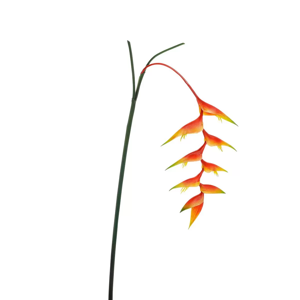 DecoWoerner Artificial Heliconia Lobster Claws 30 X 96 Cm