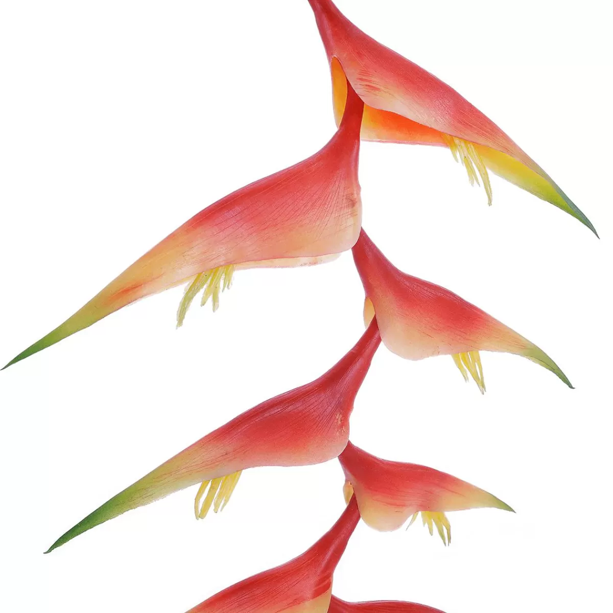 DecoWoerner Artificial Heliconia Lobster Claws 30 X 96 Cm