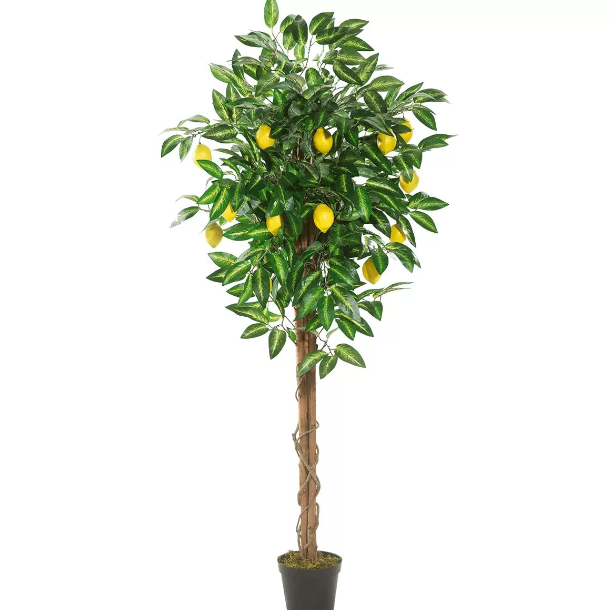 DecoWoerner Artificial Lemon Tree 180 Cm