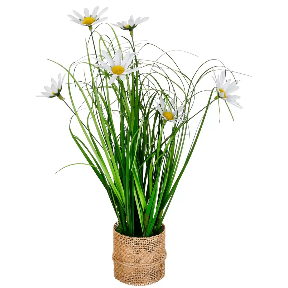 DecoWoerner Artificial Marguerite Bundle In Pot 33 Cm