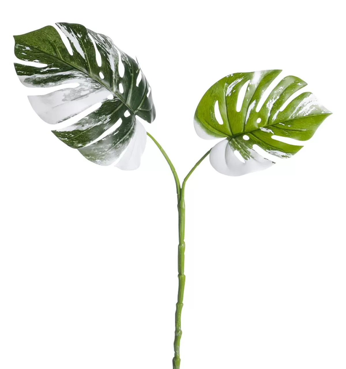 DecoWoerner Artificial Monstera Deliciosa Albo Variegata Leaves-Branch 85 Cm