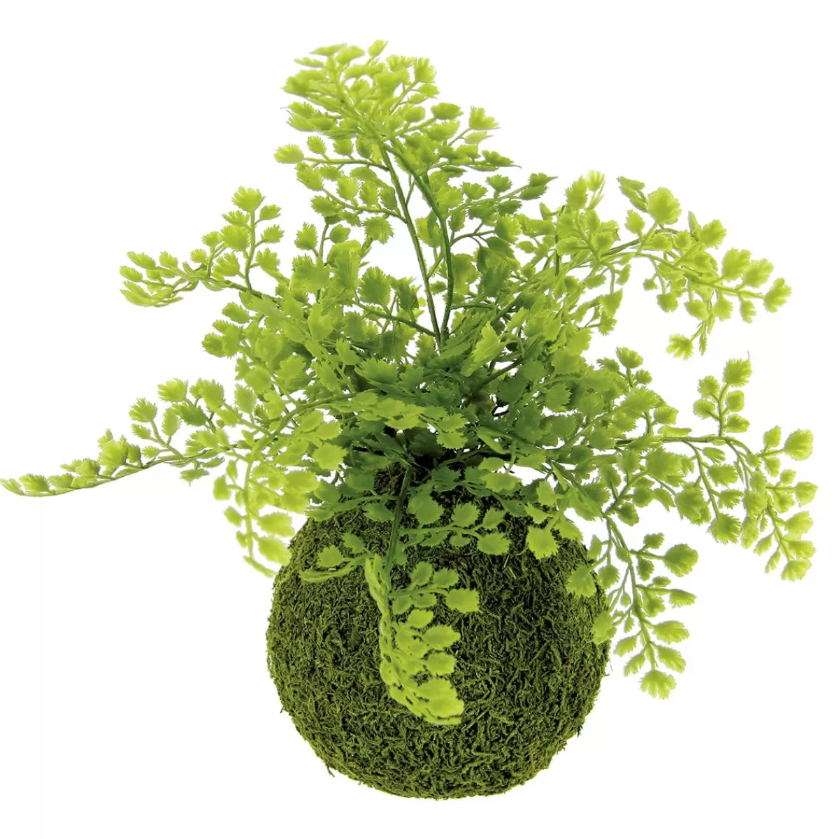 DecoWoerner Artificial Moss Ball With Maidenhair Fern 30 Cm