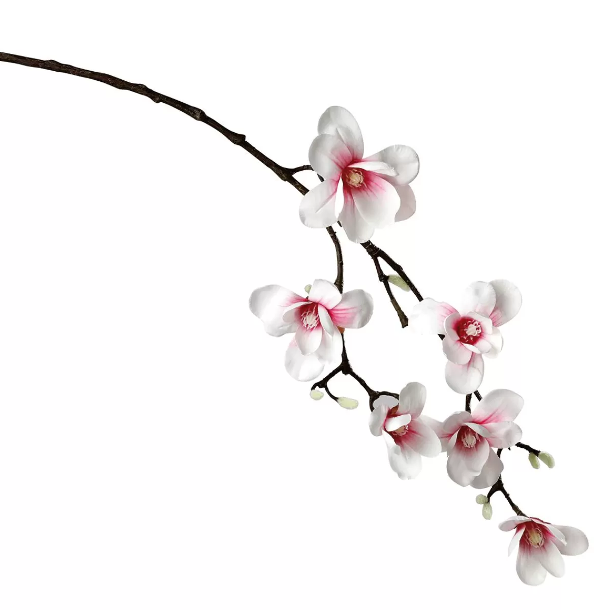 DecoWoerner Artificial Noble Branche De Magnolia, Rose, 100 Cm