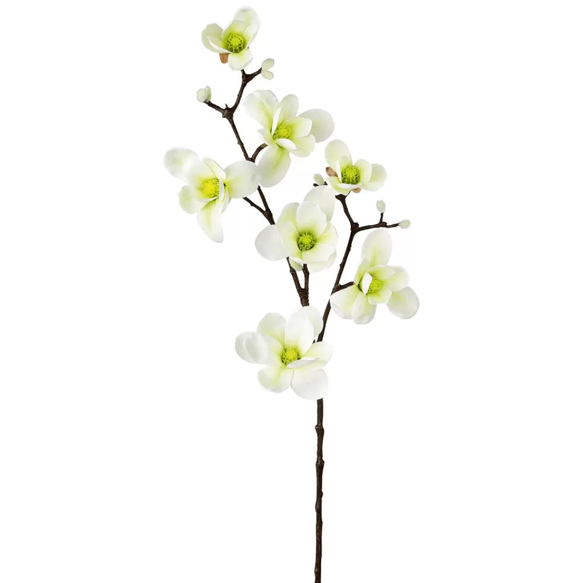 DecoWoerner Artificial Noble Magnolia Branch, Green, 100 Cm