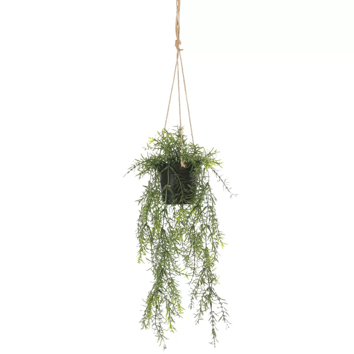 DecoWoerner Artificial Ornamental Asparagus Asparagus Hanging Basket 20 X 50 Cm