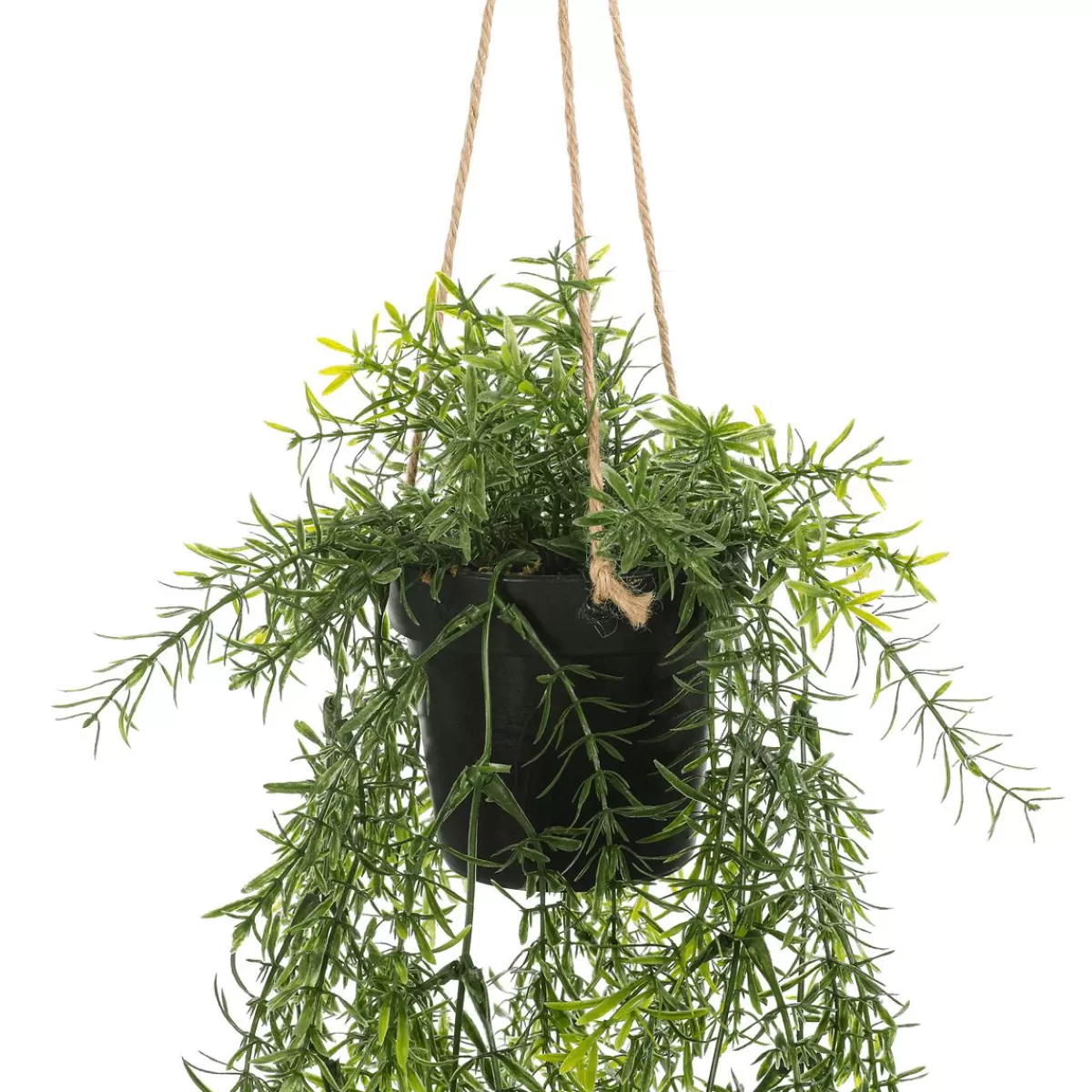 DecoWoerner Artificial Ornamental Asparagus Asparagus Hanging Basket 20 X 50 Cm