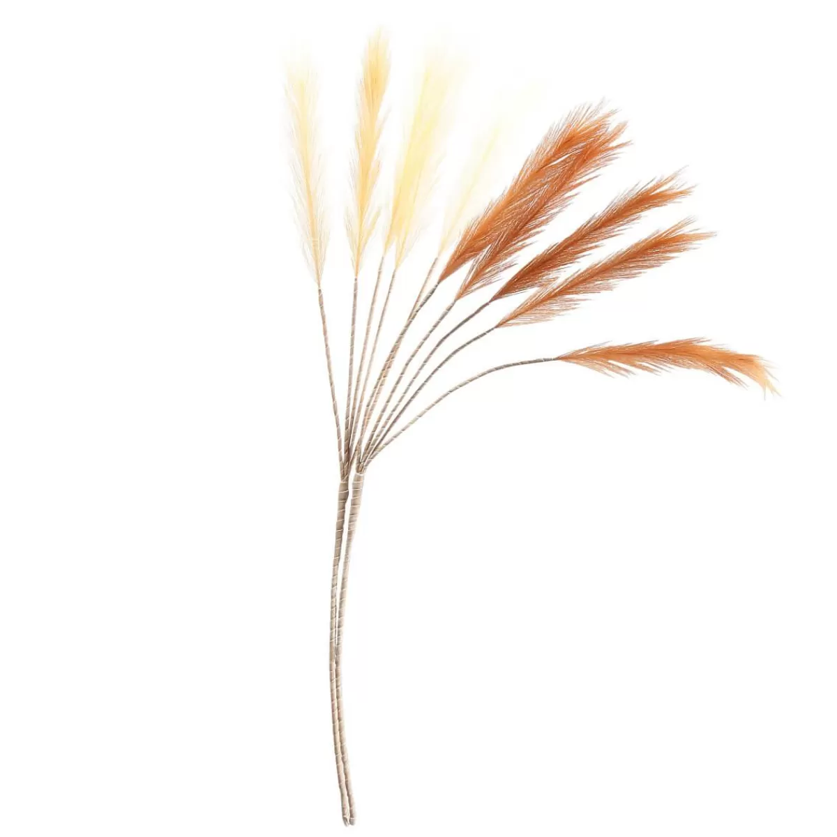 DecoWoerner Artificial Pampas Grass, Length 115 Cm, 2 Pcs