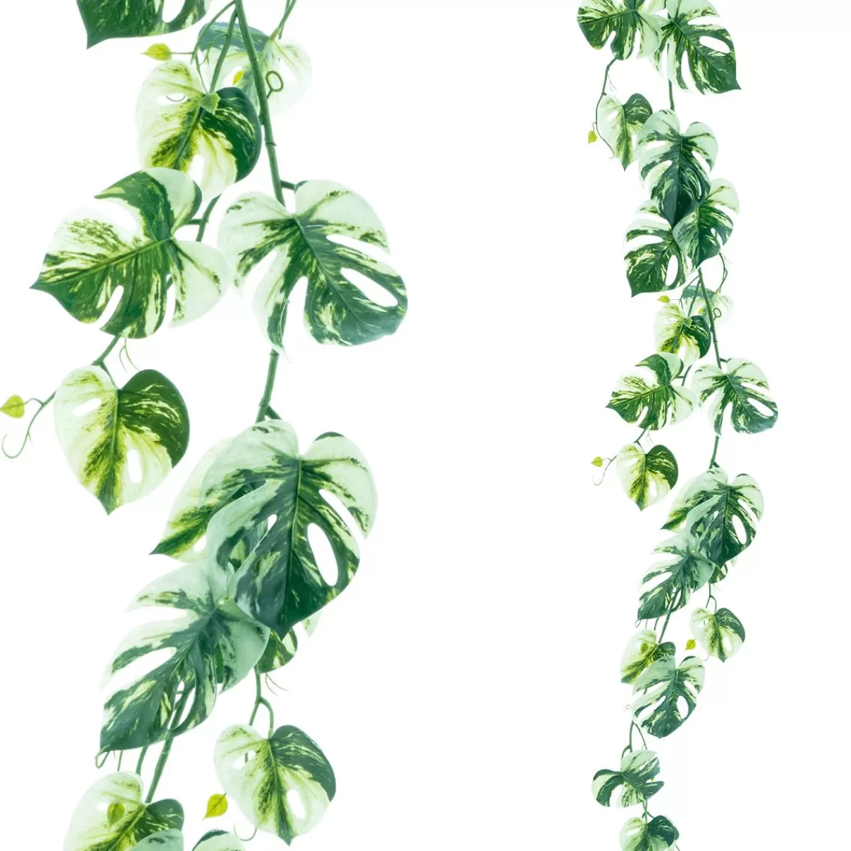 DecoWoerner Artificial Philo Vine Variegata Monstera Garland 180 Cm