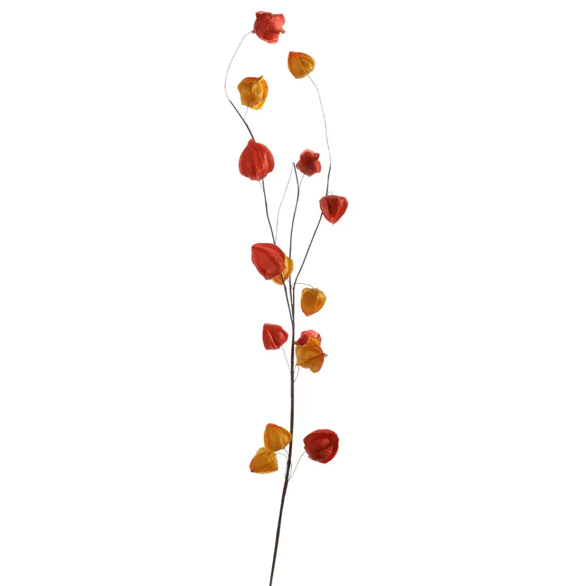 DecoWoerner Artificial Physalis Branch, 80 Cm