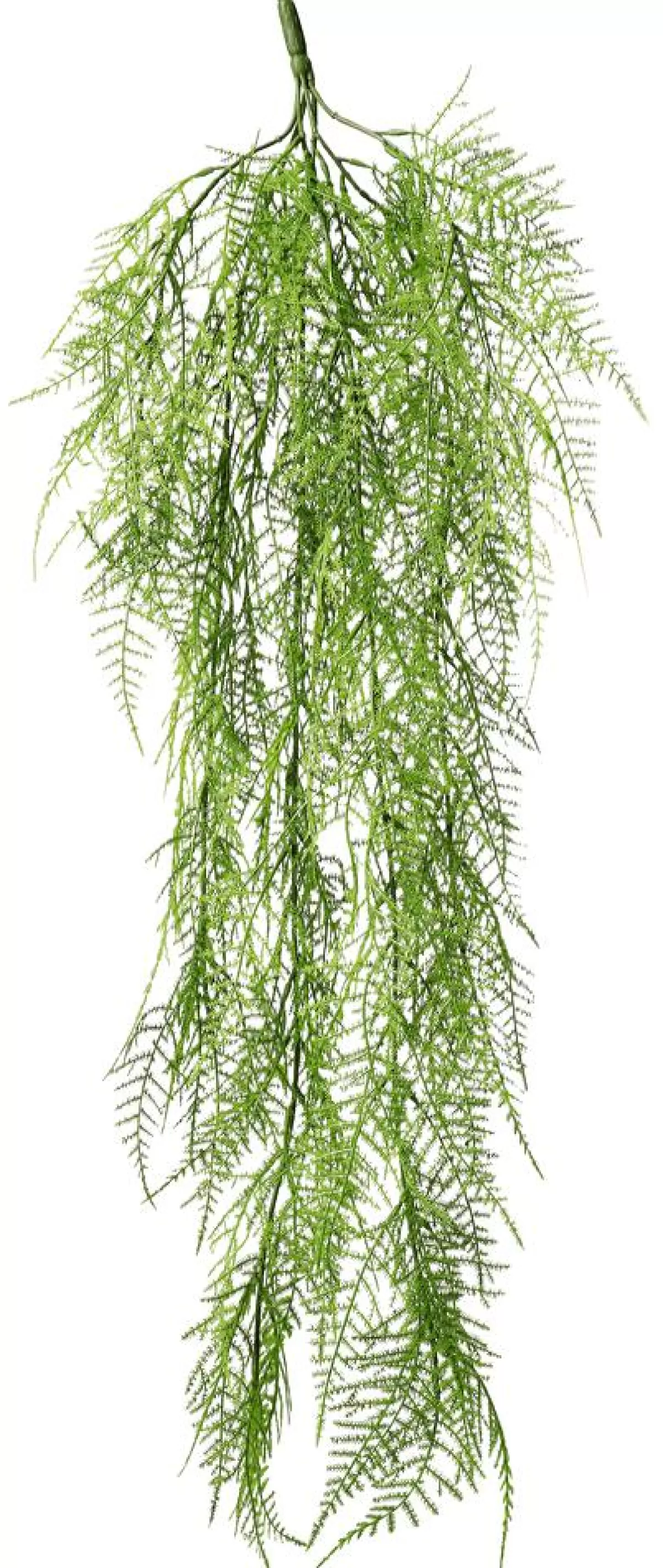 DecoWoerner Artificial Plant Hanger Asparagus Fern, 80 Cm