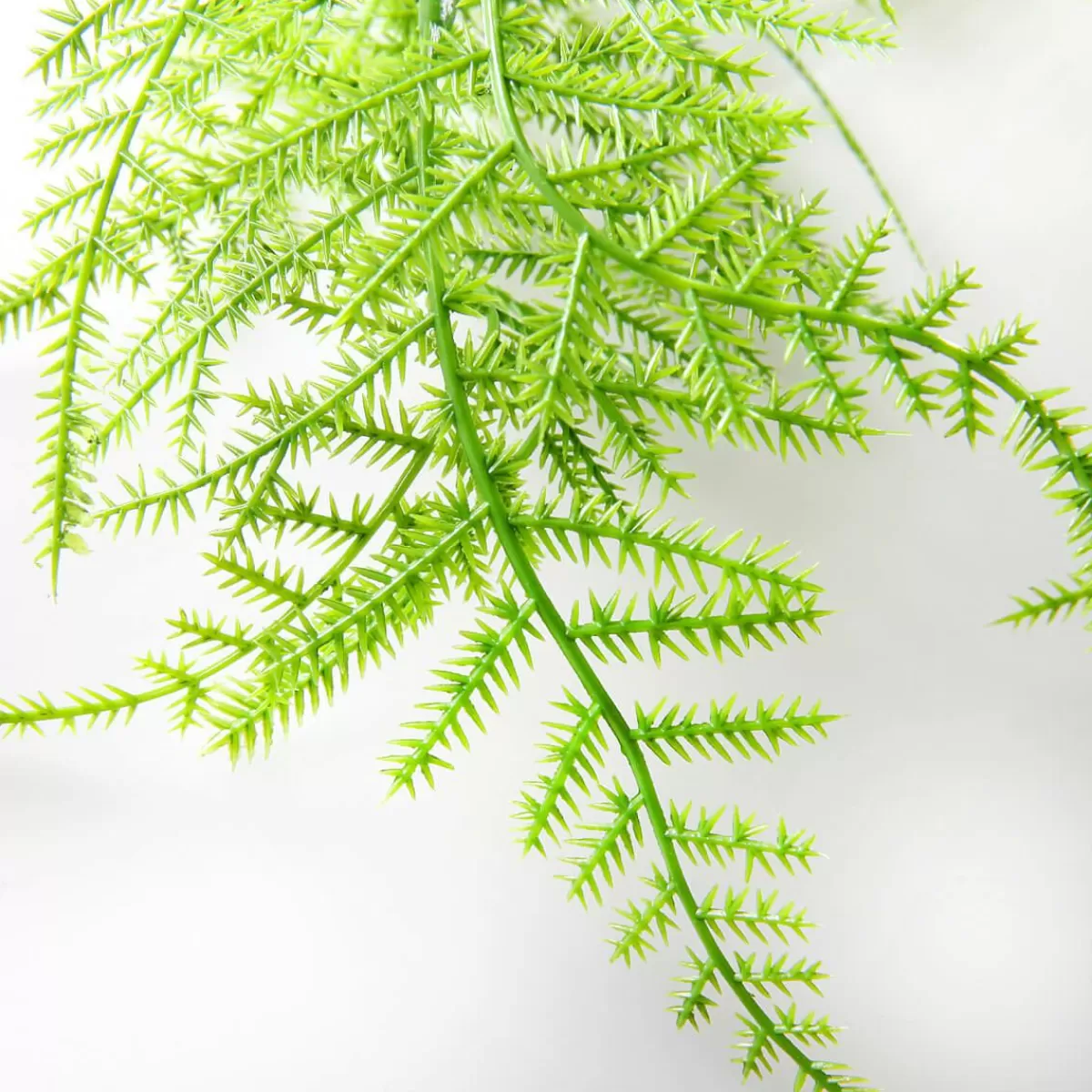 DecoWoerner Artificial Plant Hanger Asparagus Fern, 80 Cm