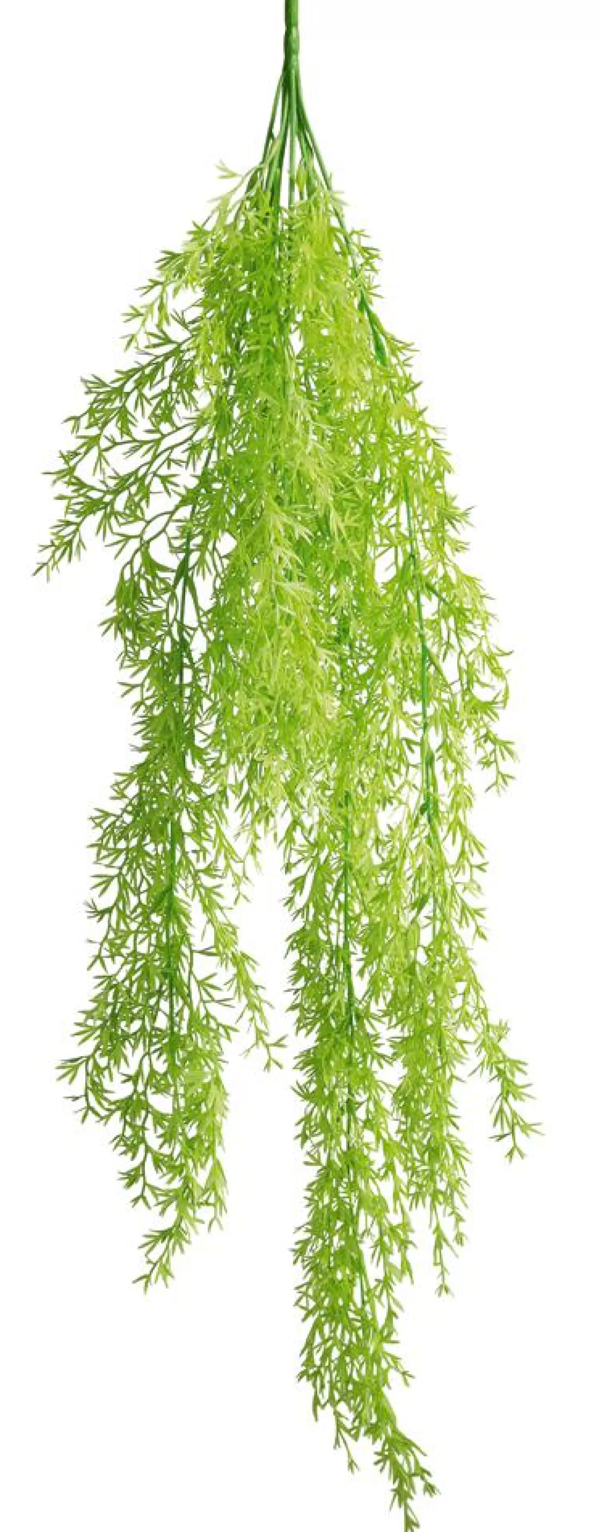 DecoWoerner Artificial Plant Hanger Decorative Asparagus , 84 Cm