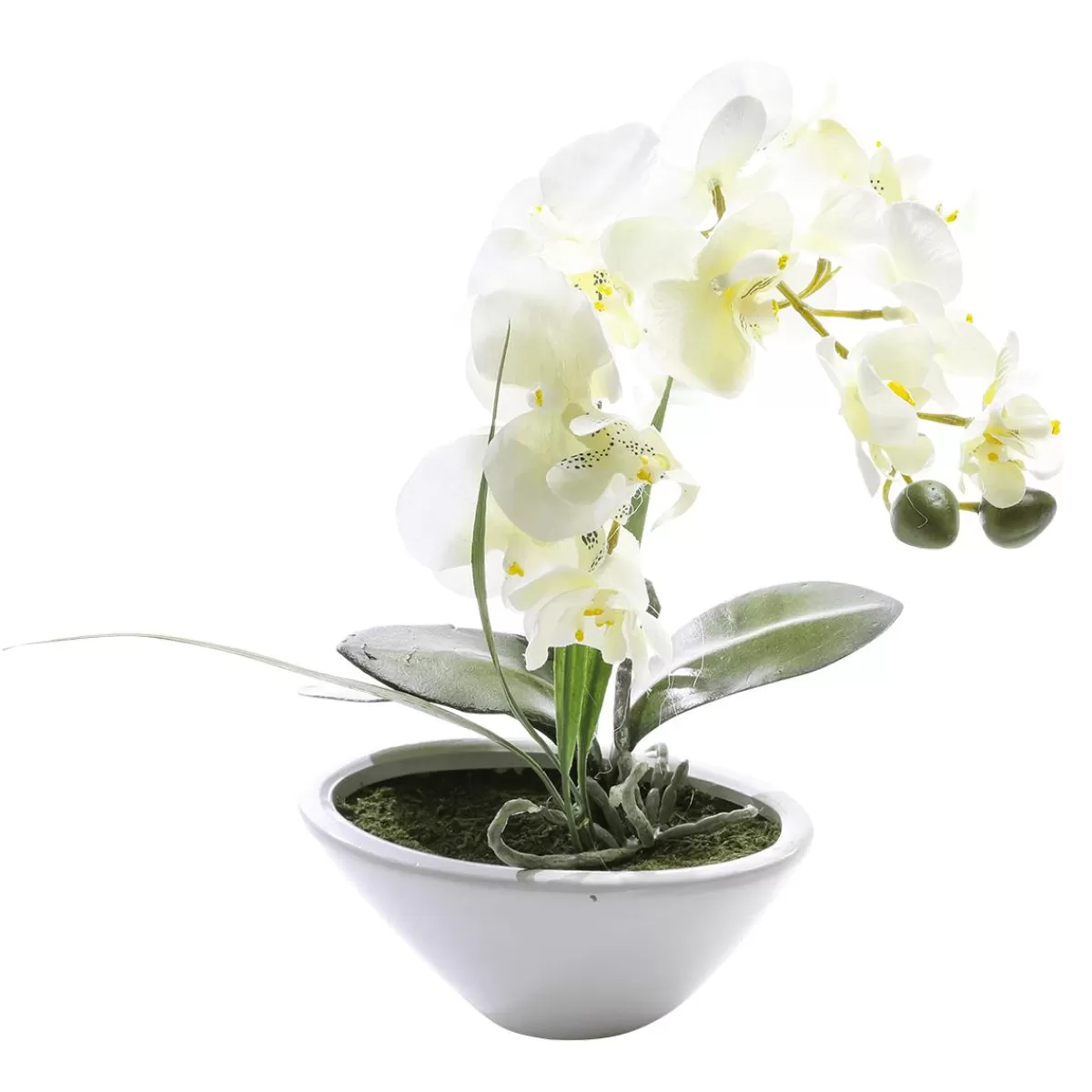 DecoWoerner Artificial Plant Orchid In Pot, 28 Cm