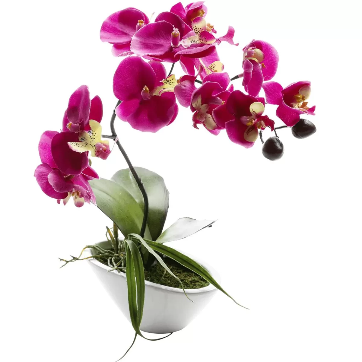 DecoWoerner Artificial Pot Orchid, Hot 28 Cm