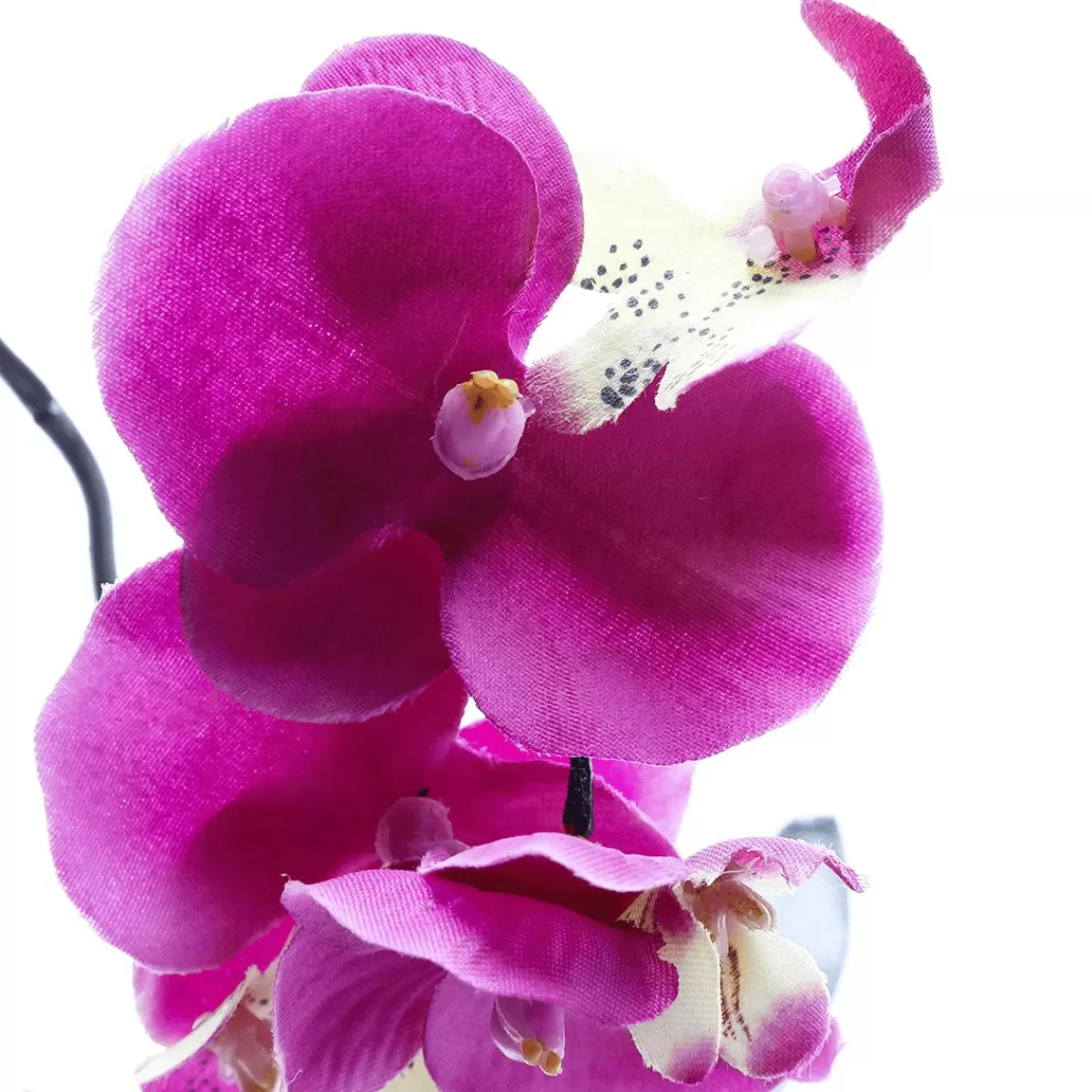 DecoWoerner Artificial Pot Orchid, Hot 28 Cm