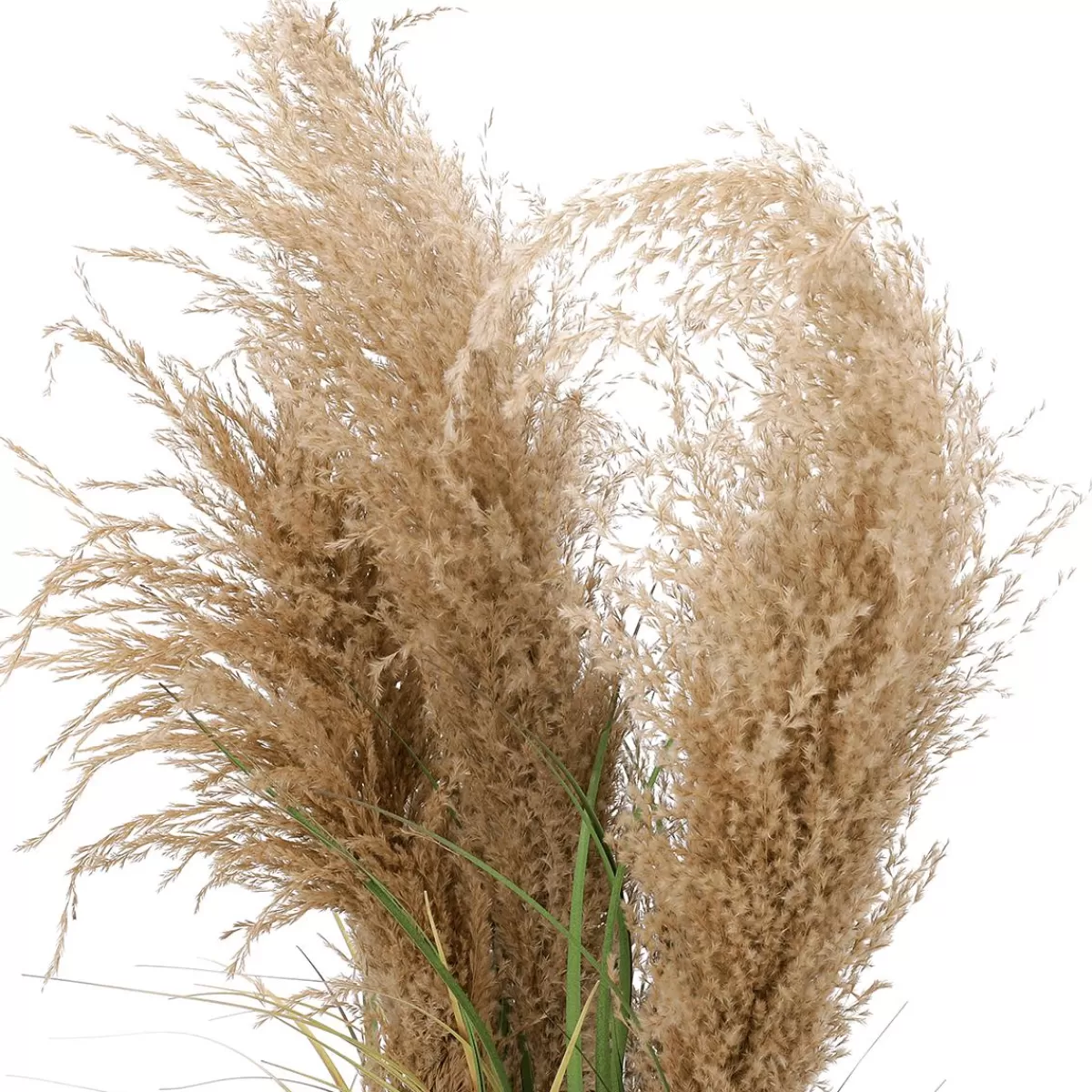 DecoWoerner Artificial Reed Grass In Pot 25 X 25 X 60 Cm