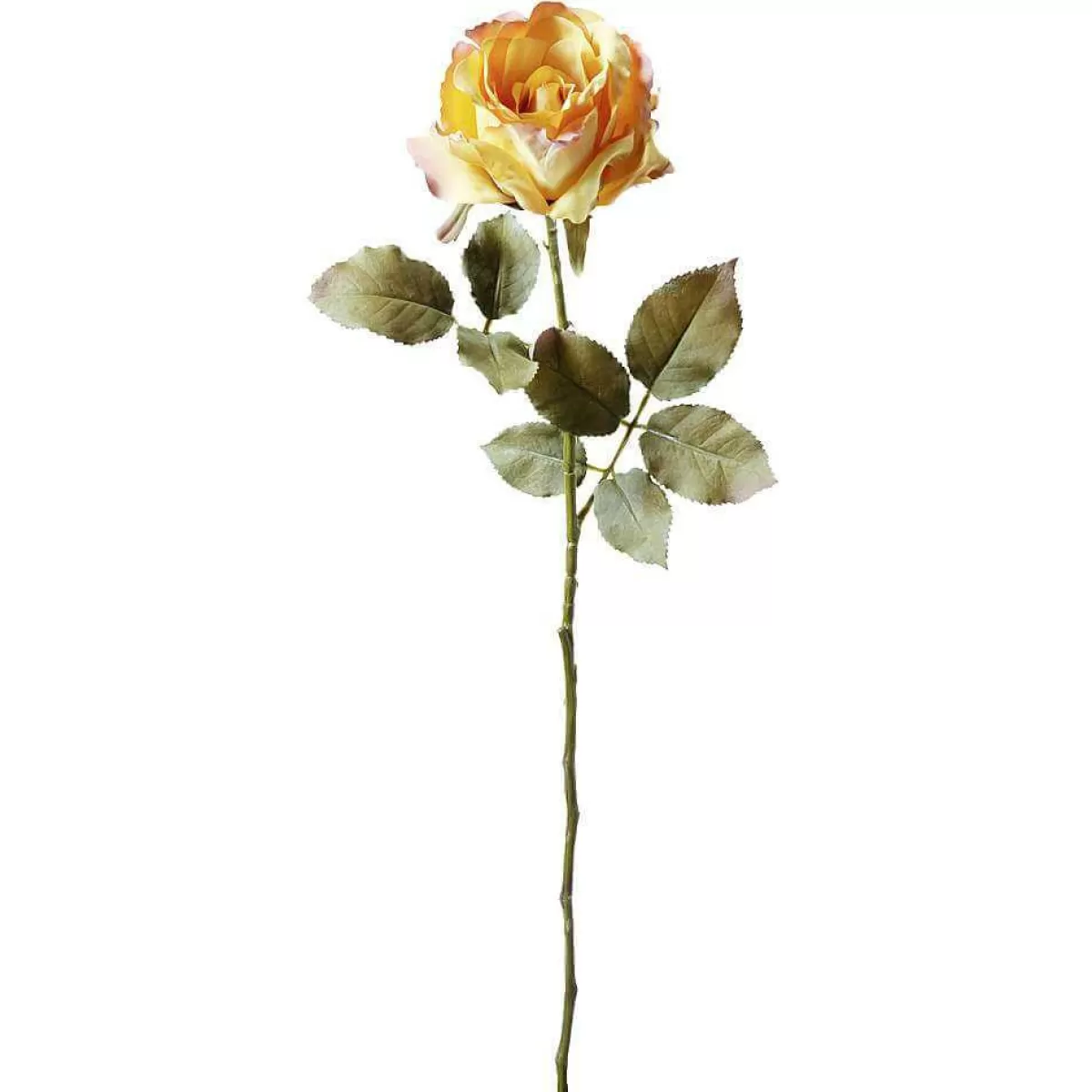 DecoWoerner Artificial Rose "Dry Look" , 60 Cm