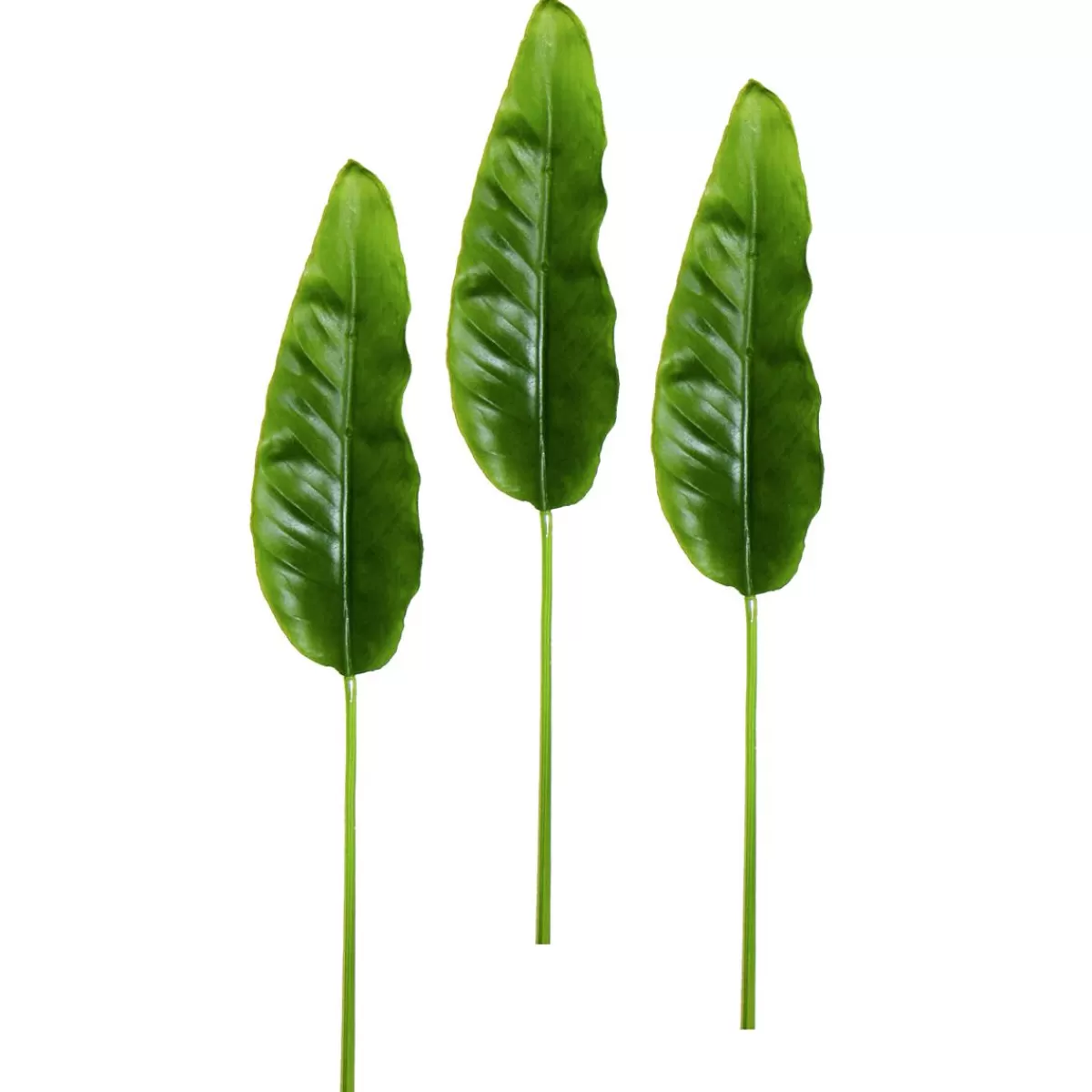 DecoWoerner Artificial Strelizia Leaves 88 Cm, 3 Pieces