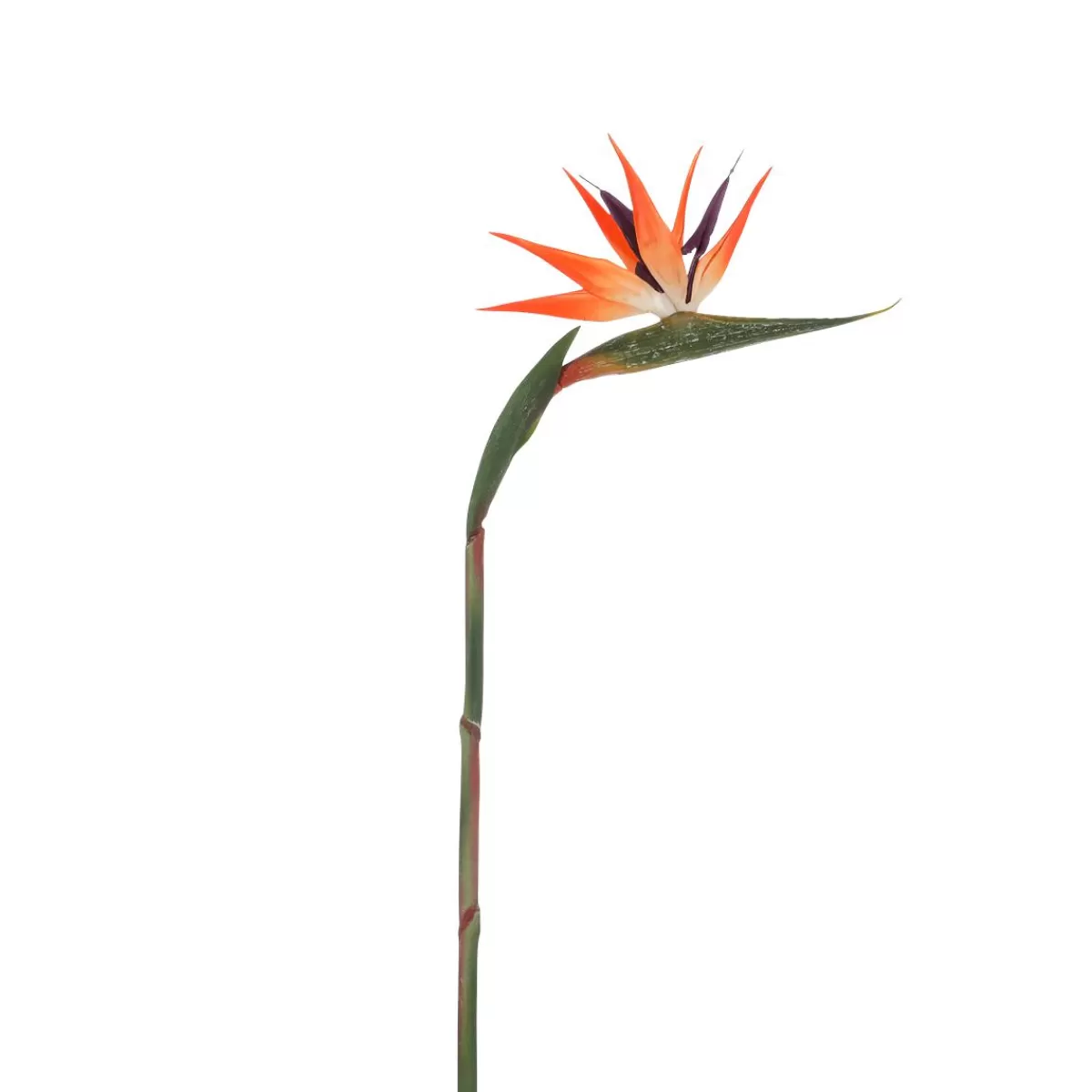 DecoWoerner Artificial Strelizias Bird Of Paradise Flower 14 X 84 Cm