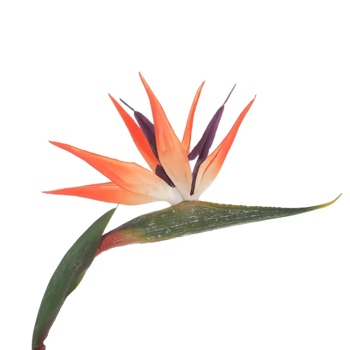 DecoWoerner Artificial Strelizias Bird Of Paradise Flower 14 X 84 Cm