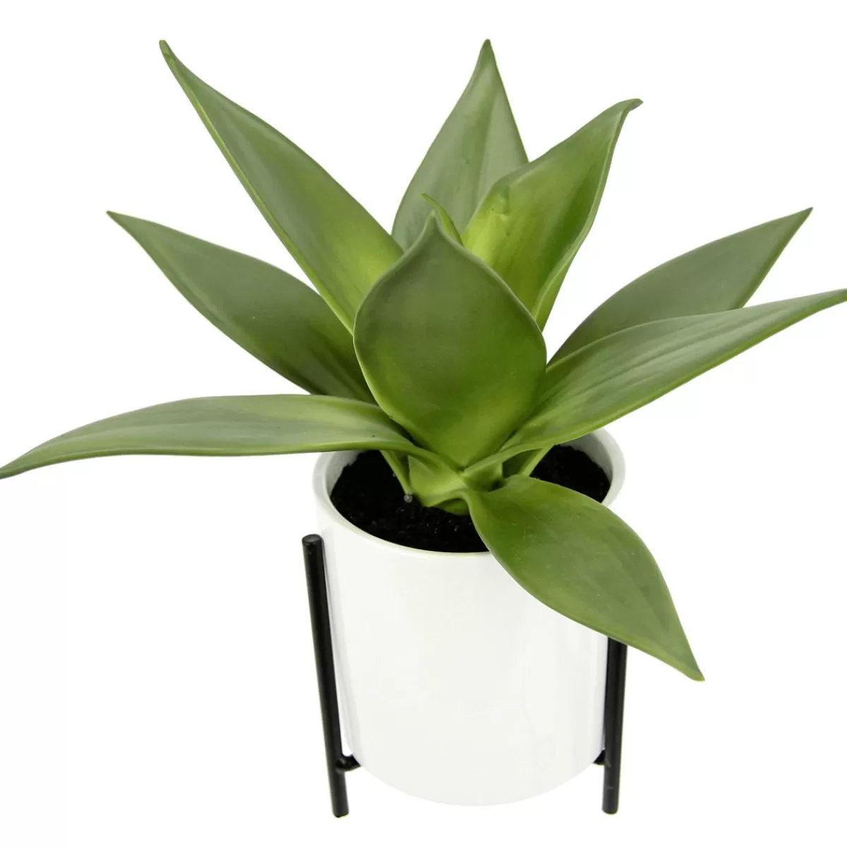 DecoWoerner Artificial Succulent In White Pot 27 Cm