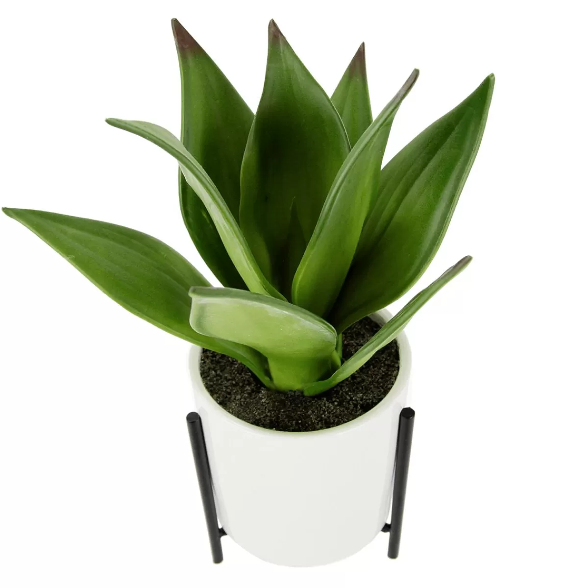 DecoWoerner Artificial Succulent In White Pot 27 Cm