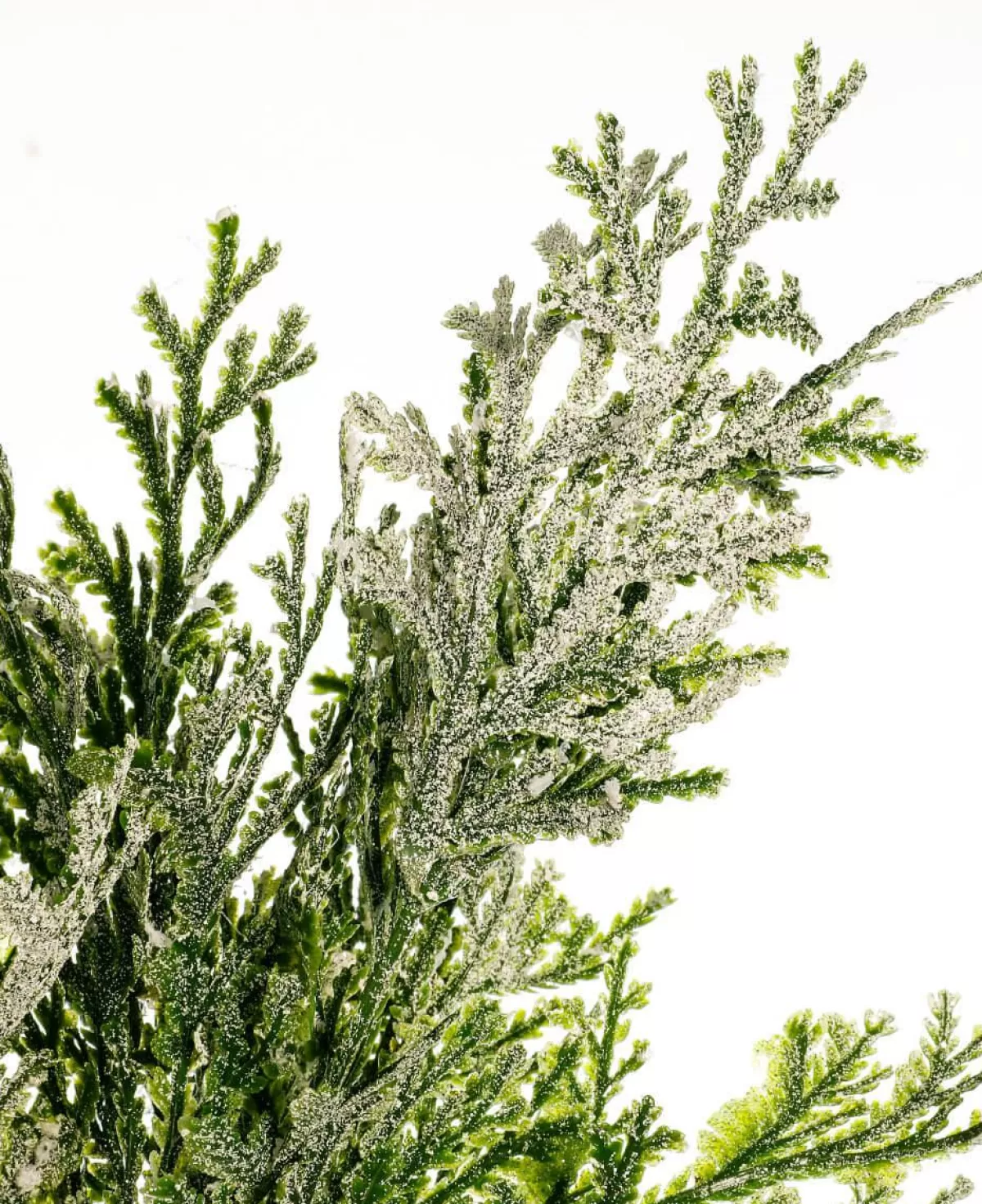 DecoWoerner Artificial Thuja Branch, 35 Cm Long