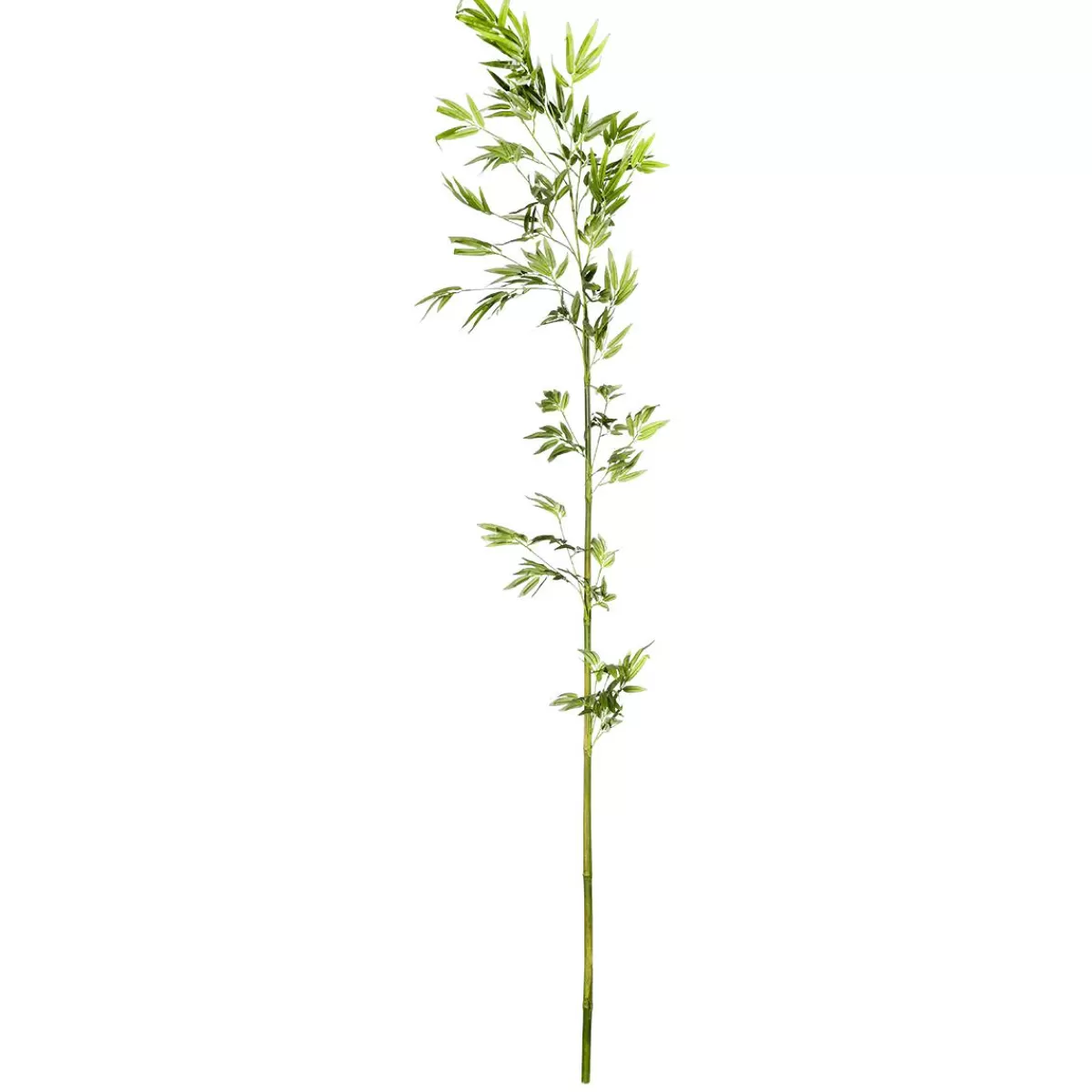 DecoWoerner Bamboo Branch, 190 Cm