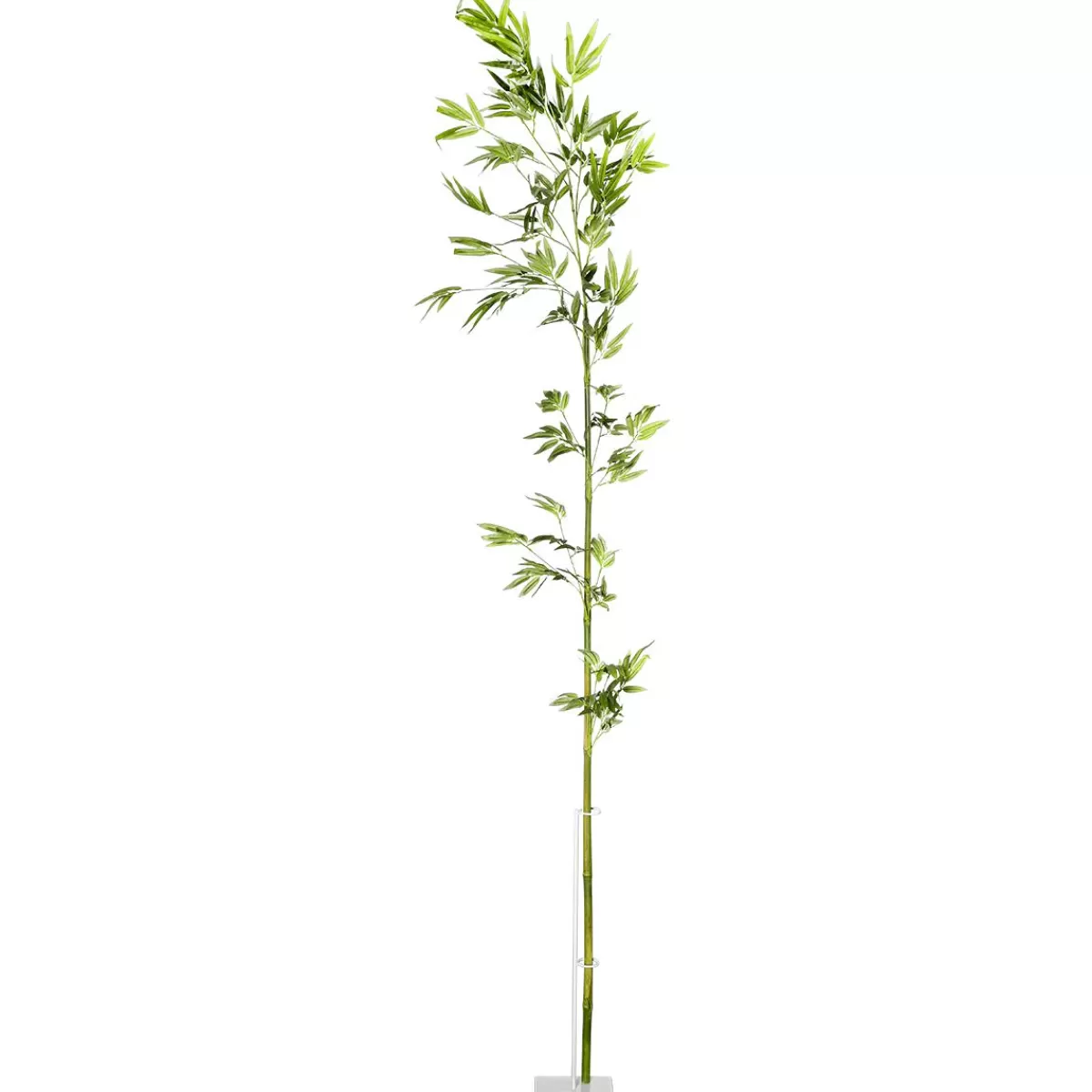 DecoWoerner Bamboo Branch, 190 Cm