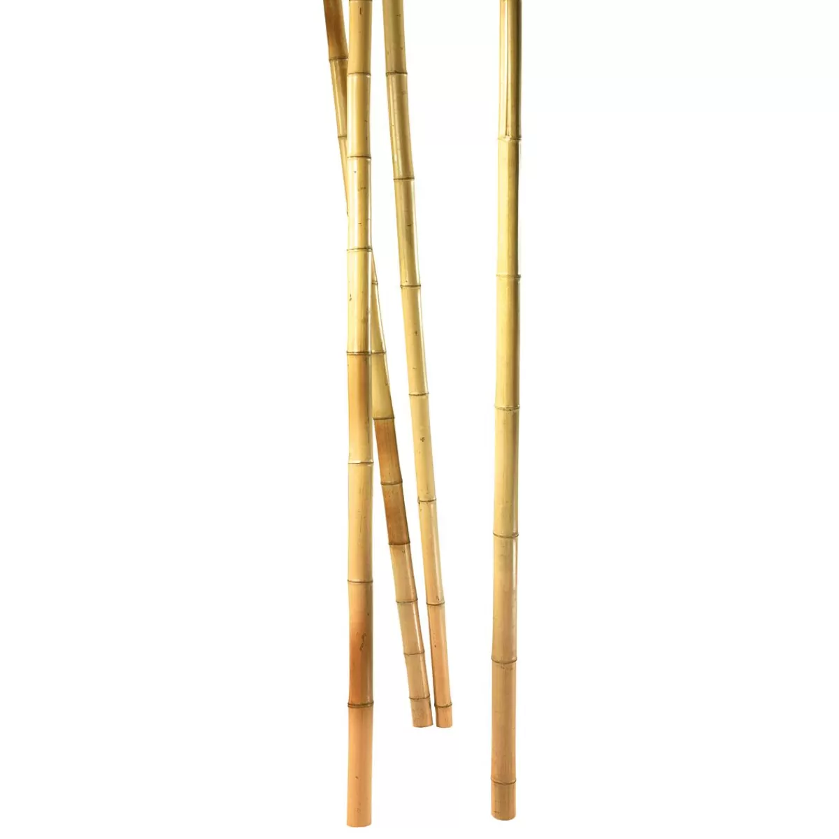 DecoWoerner Bamboo Rods Natural, 3 Pcs