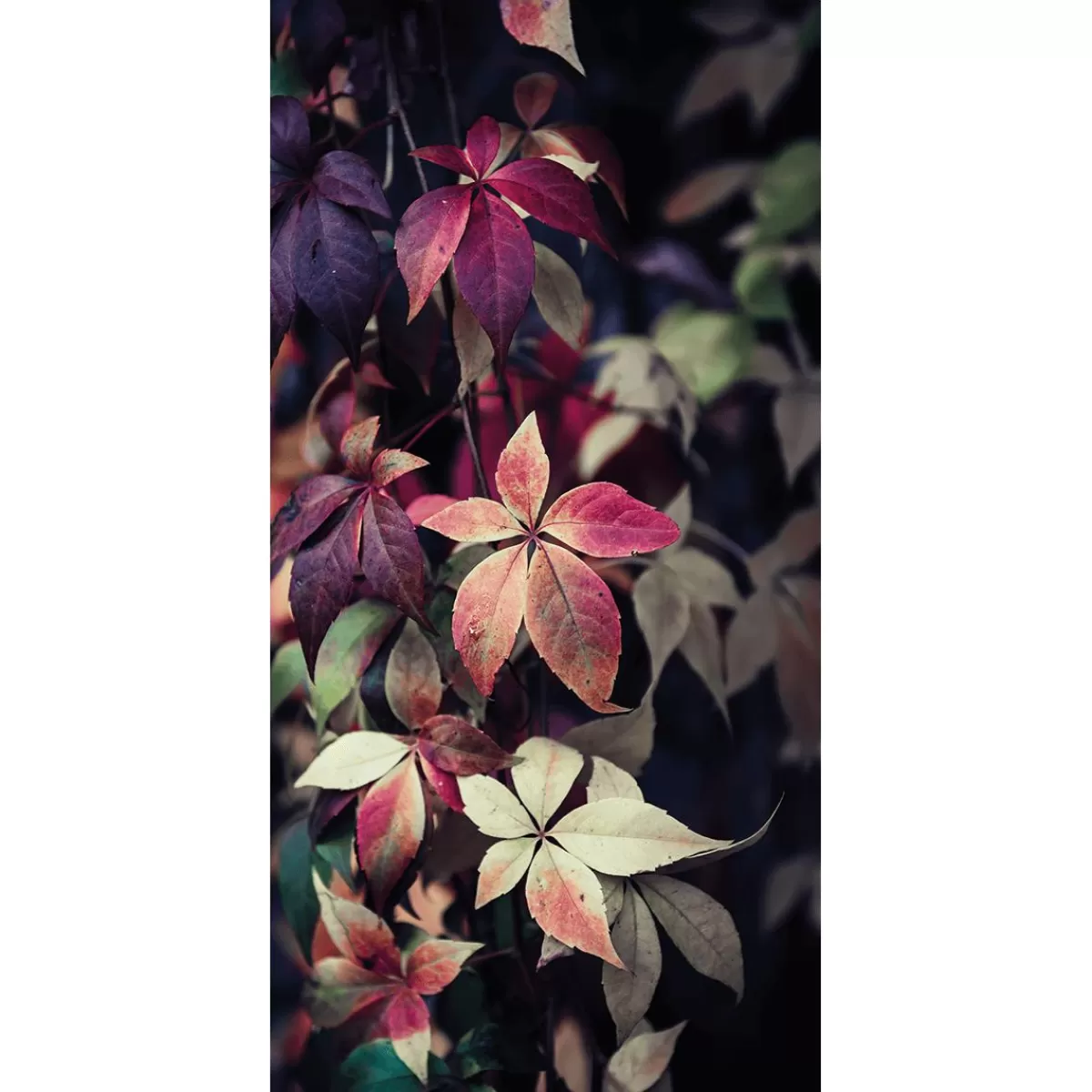 DecoWoerner Banner Vine Leaves 100x200cm