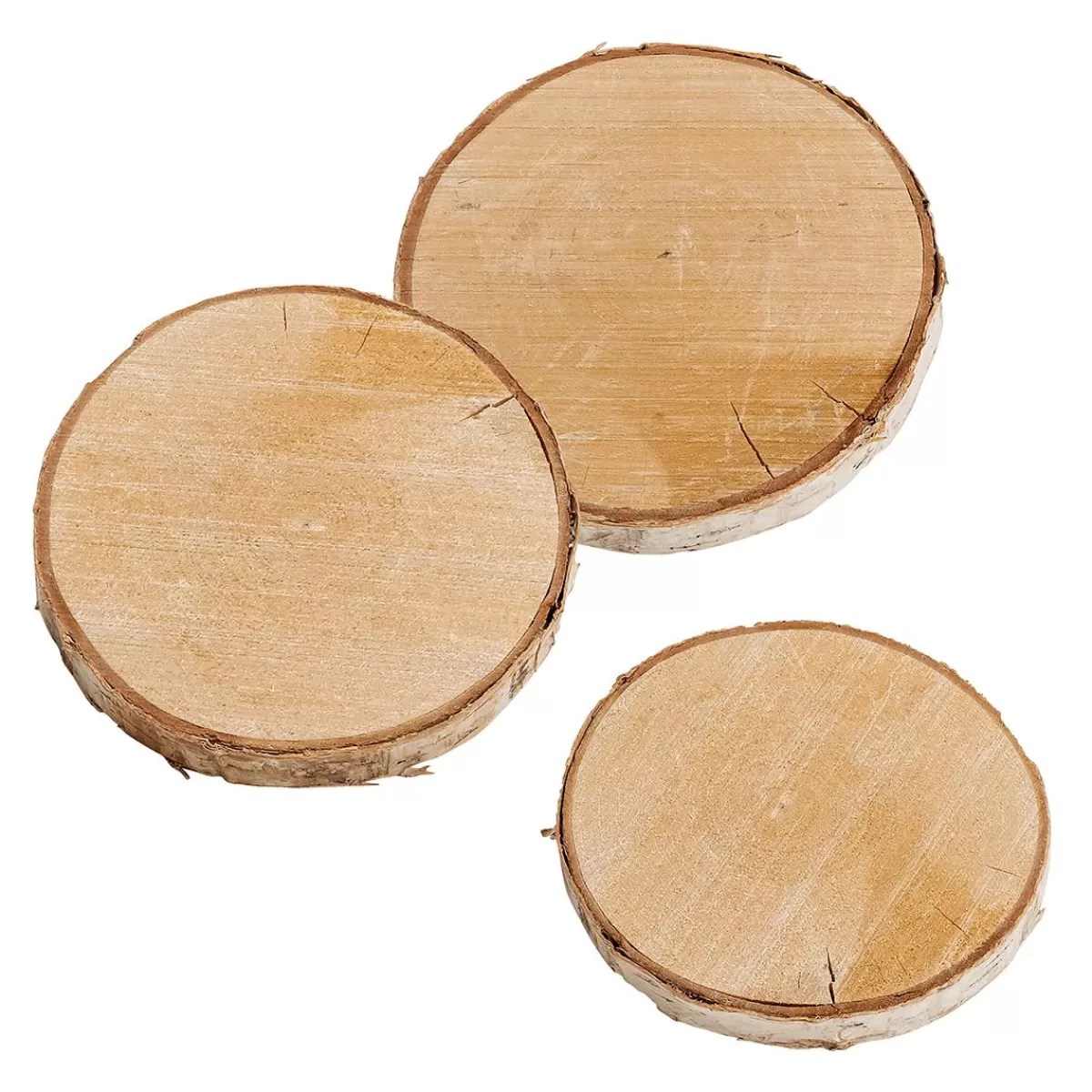 DecoWoerner Birch Disc 16 X 2cm & 15 Cm Ø Set Of 3